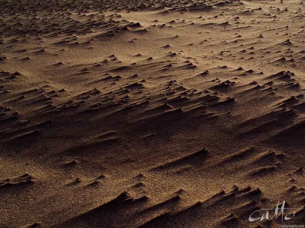 Lost & Found #52: Bayly's Beach, New Zealand 2006