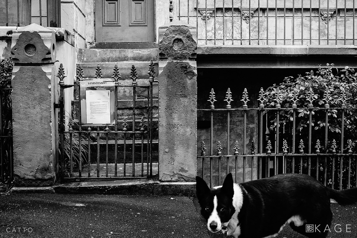Image from 'Proof Of Life', my latest essay at the Kage Collective