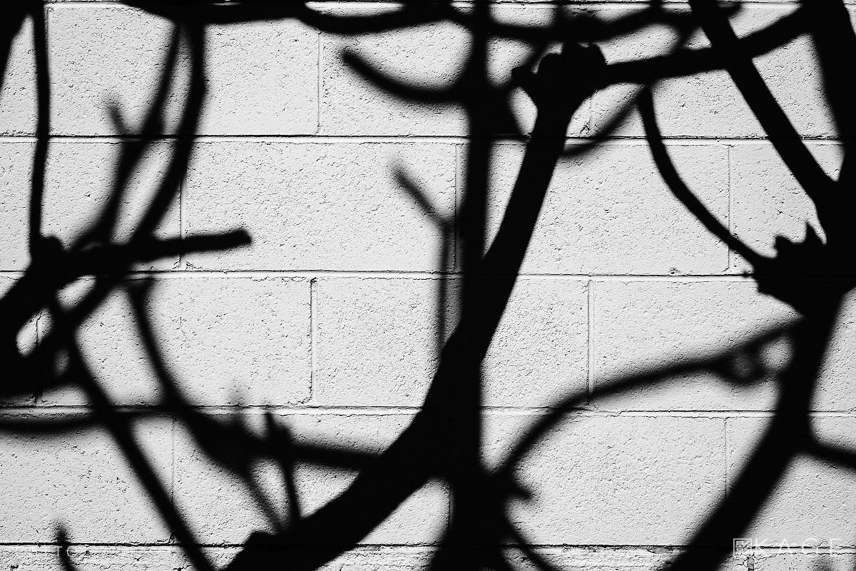 Photos by Robert Catto, on Wednesday 7 September, 2016.