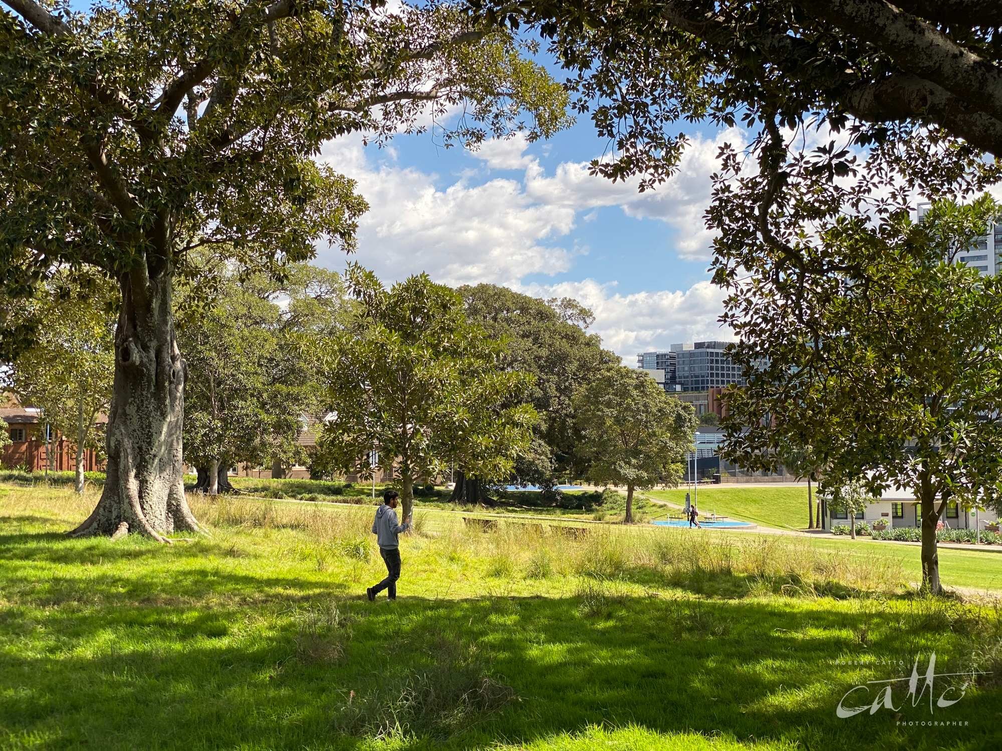 Prince Alfred Park, Surry Hills (iPhone 11 Pro - 2x zoom lens)