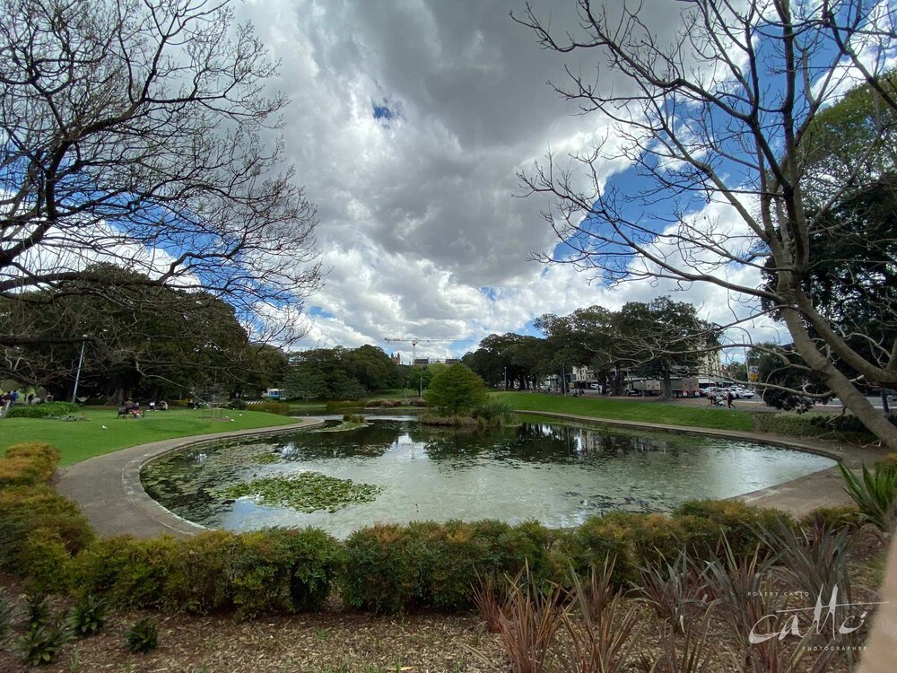 Lake Northam, Victoria Park, Sydney (iPhone 11 Pro - 0.5x wide lens)