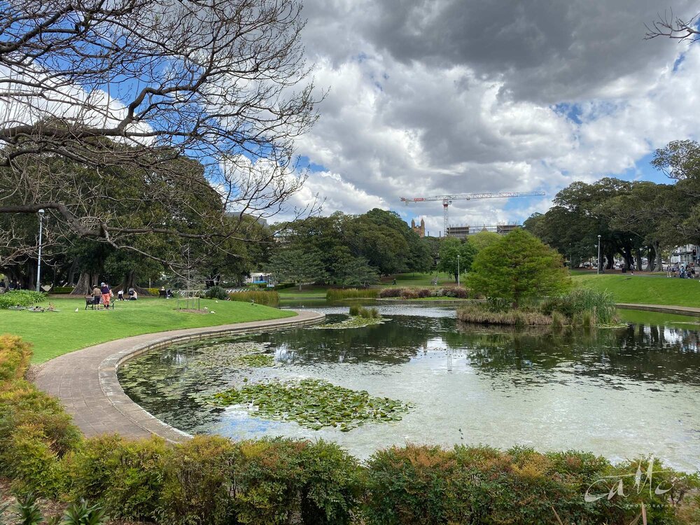 Lake Northam, Victoria Park, Sydney (iPhone 11 Pro - normal lens)