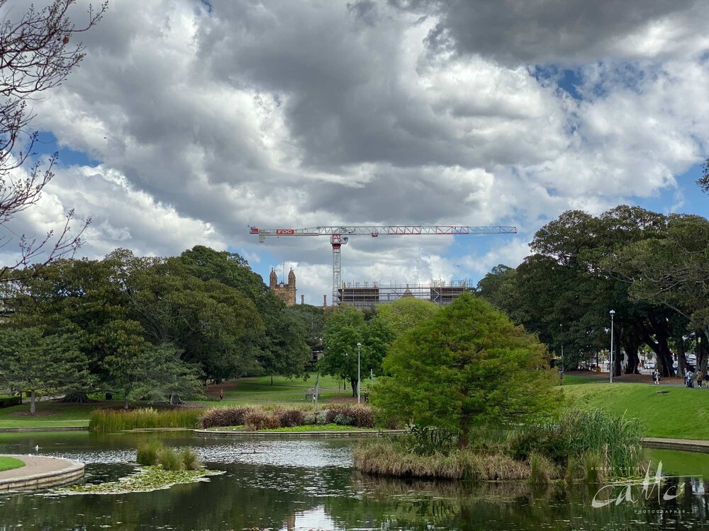 Lake Northam, Victoria Park, Sydney (iPhone 11 Pro - 2x zoom lens)