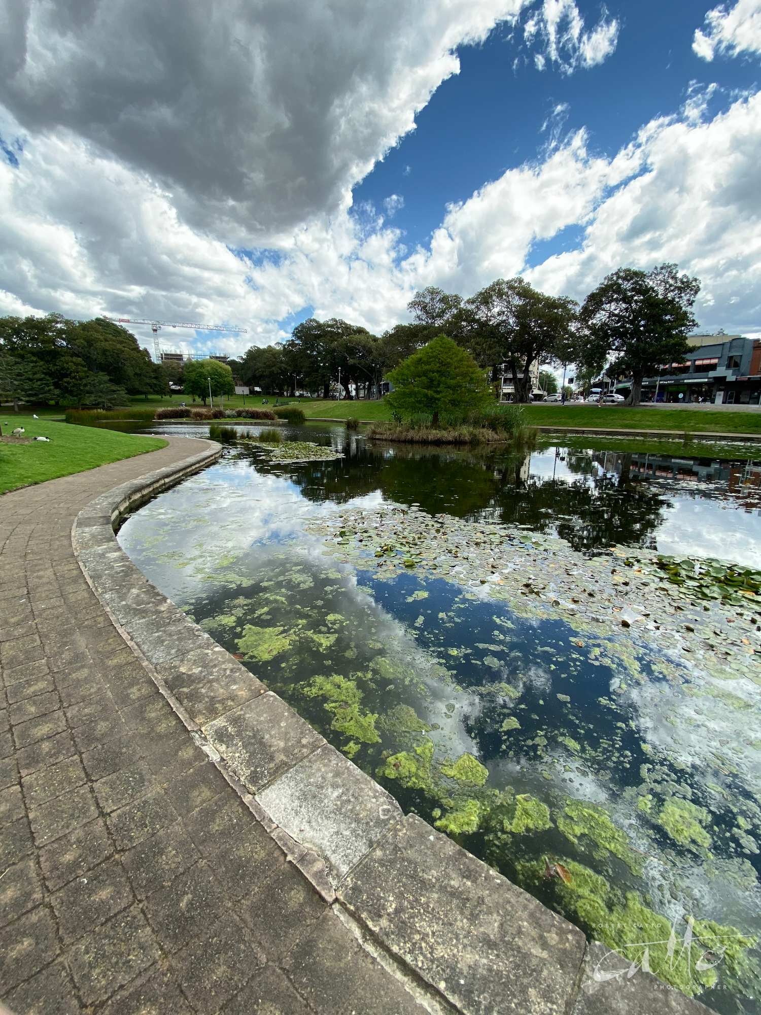 Lake Northam, Victoria Park, Sydney (iPhone 11 Pro - 0.5x wide lens)