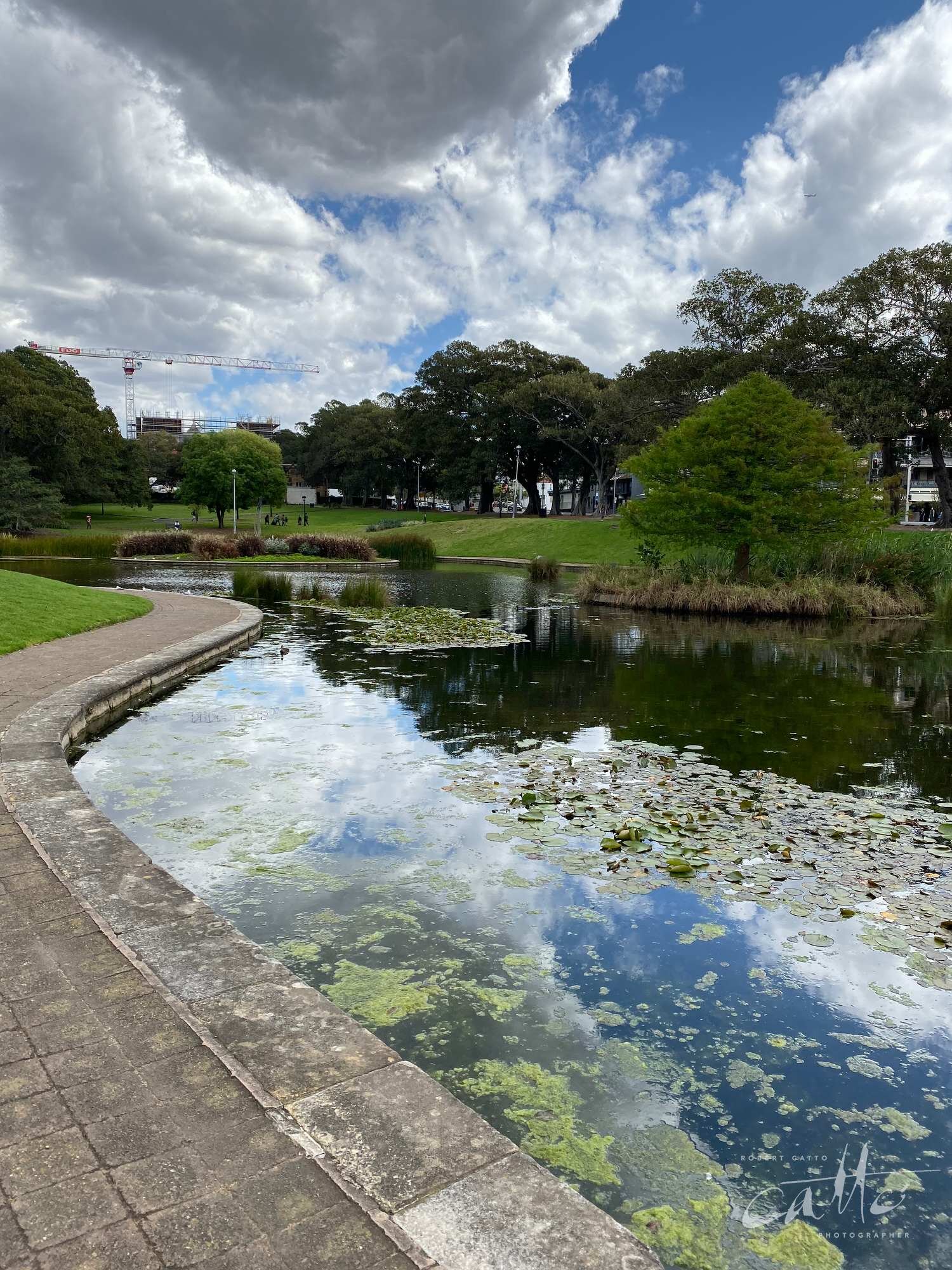 Lake Northam, Victoria Park, Sydney (iPhone 11 Pro - normal lens)