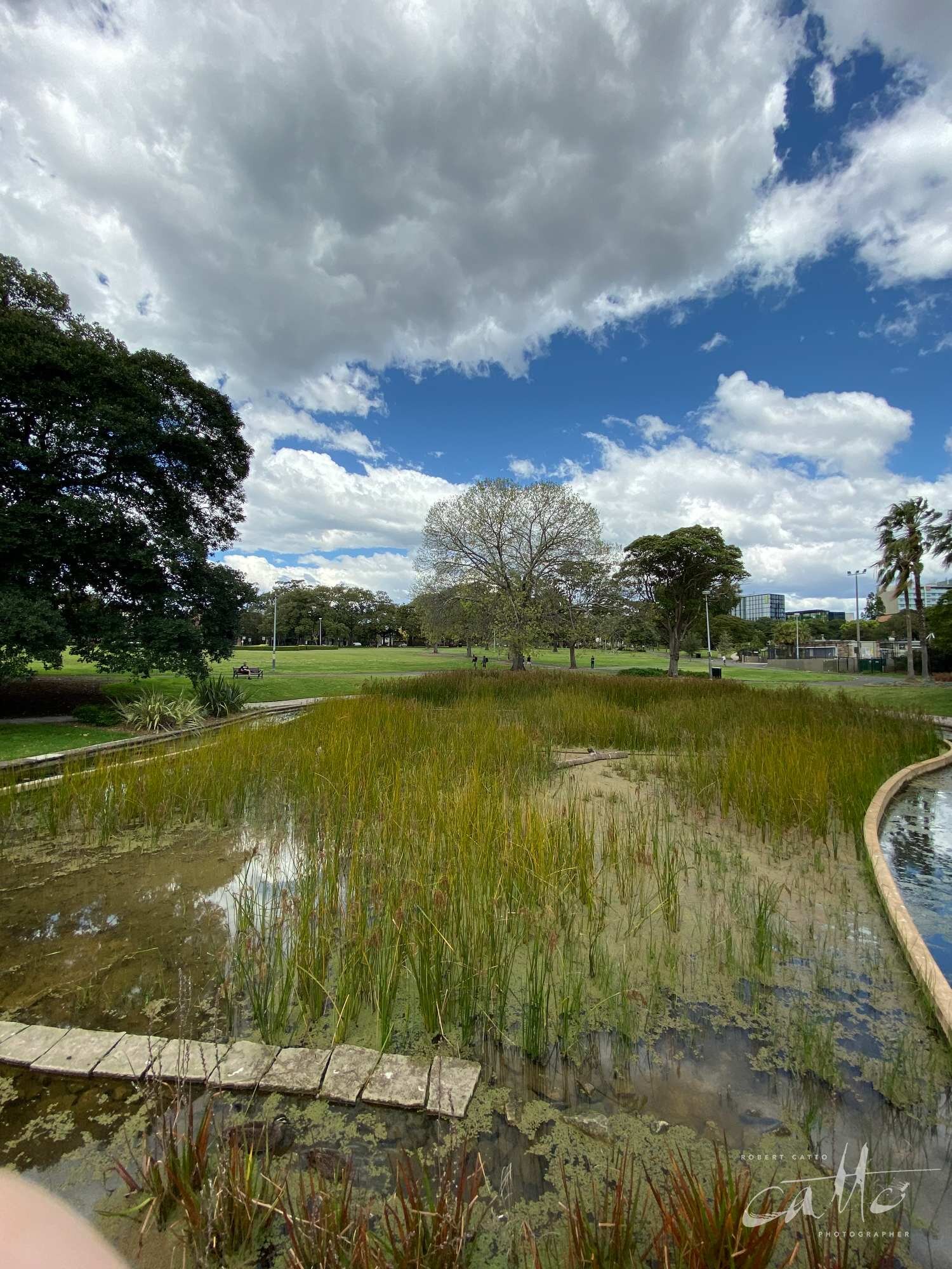 Victoria Park, Sydney (iPhone 11 Pro - 0.5x wide lens) [Feat. Finger]