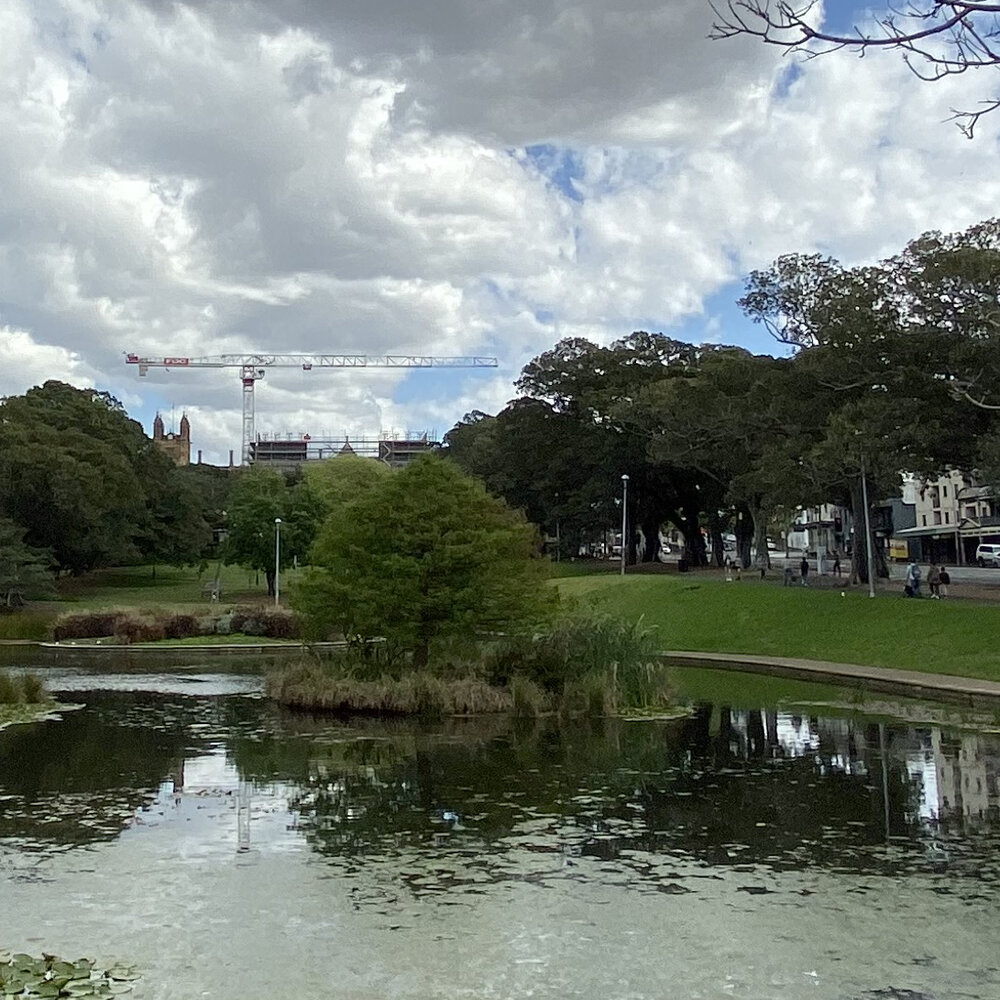 Lake Northam, Victoria Park, Sydney (iPhone 11 Pro - 0.5x wide lens) - 100% crop