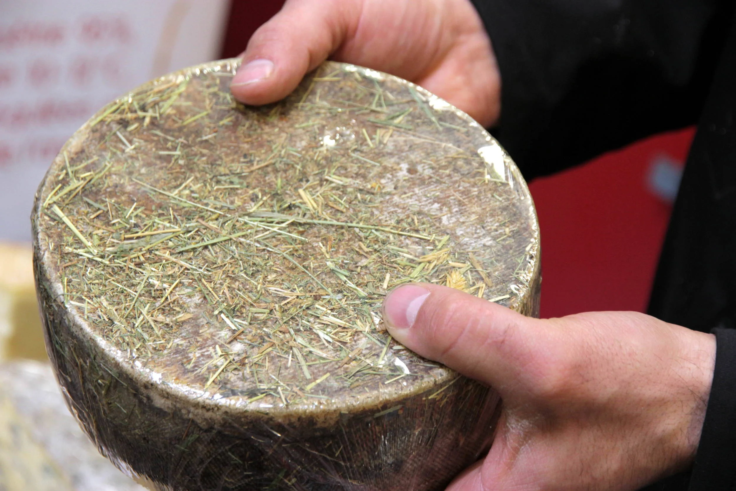 tomme-au-foin.jpg