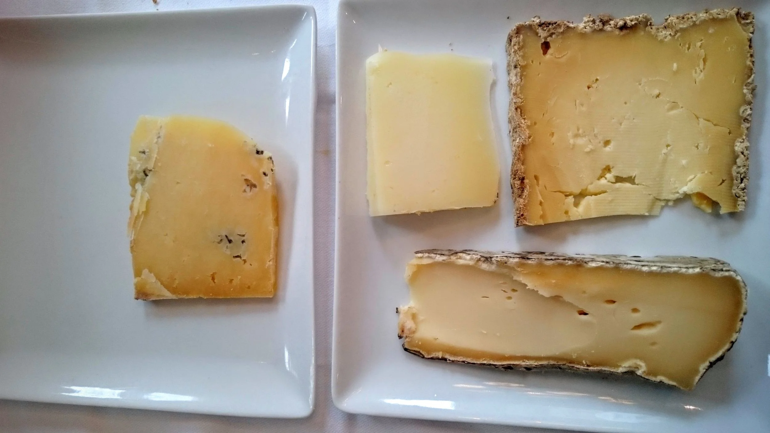 Left plate: Salers (cow). Right plate: Manchego (sheep, top left), tomme de montagne (cow, top right), Saint Nectaire (bottom)