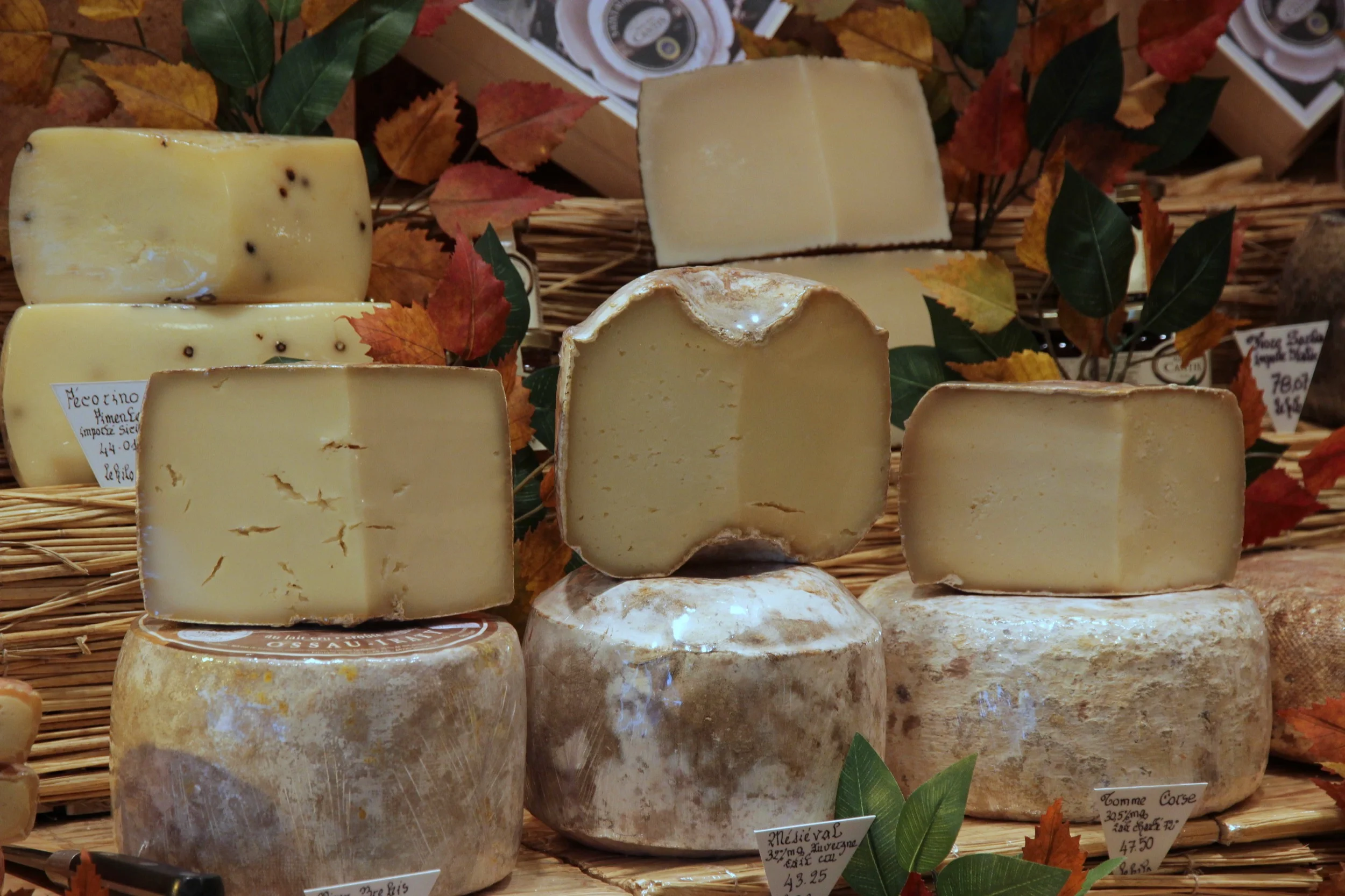 cheese-cantin-1.jpg
