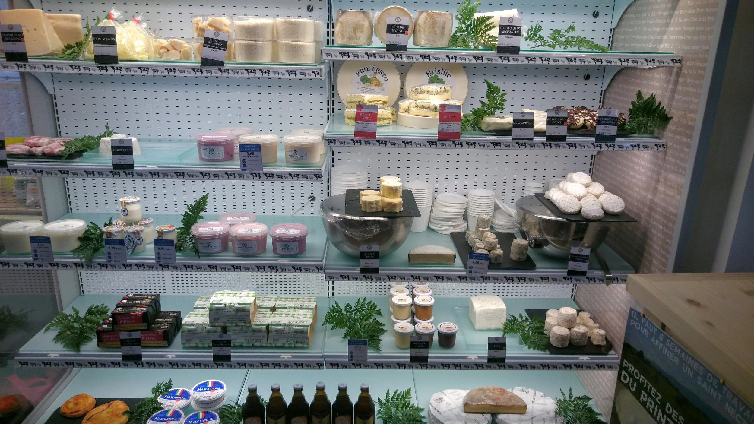 Fresh yogurt and cheese at Mons Charlieu