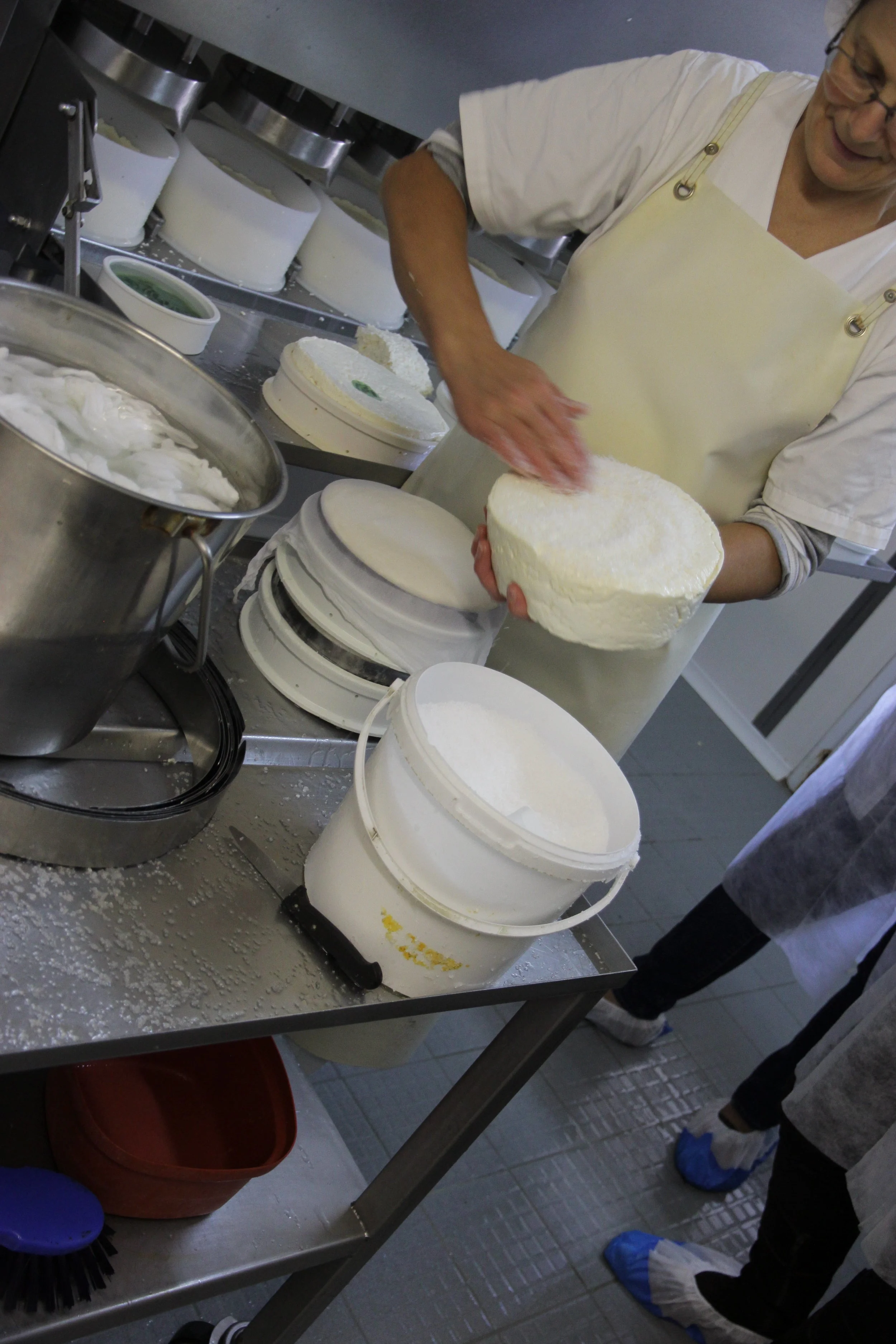 Farmstead production of St Nectaire at Auriel Farms in Montboudif (Auvergne). We visited the farm on Tuesday. The woman has just finished pre-pressing the fresh curd into molds and is salting them.