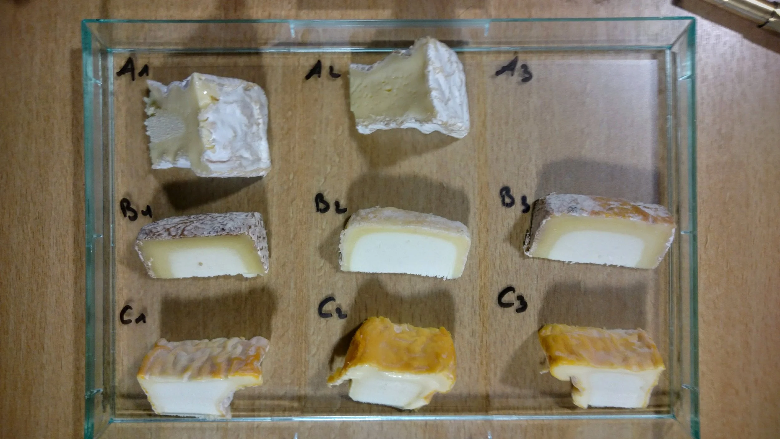 Row A : Camembert || Pos 1 : 4 weeks || Pos 2 : 5 weeks Row B : Petit Blaja (sheep cheese) || Pos 1 : 14 weeks (so old it tasted soapy!) || Pos 2 : 6 weeks || Pos 3 : 8 weeks Row C : Langres || Pos 1 : 3 weeks || Pos 2 : 6 weeks || Pos 3 : 4-5 weeks