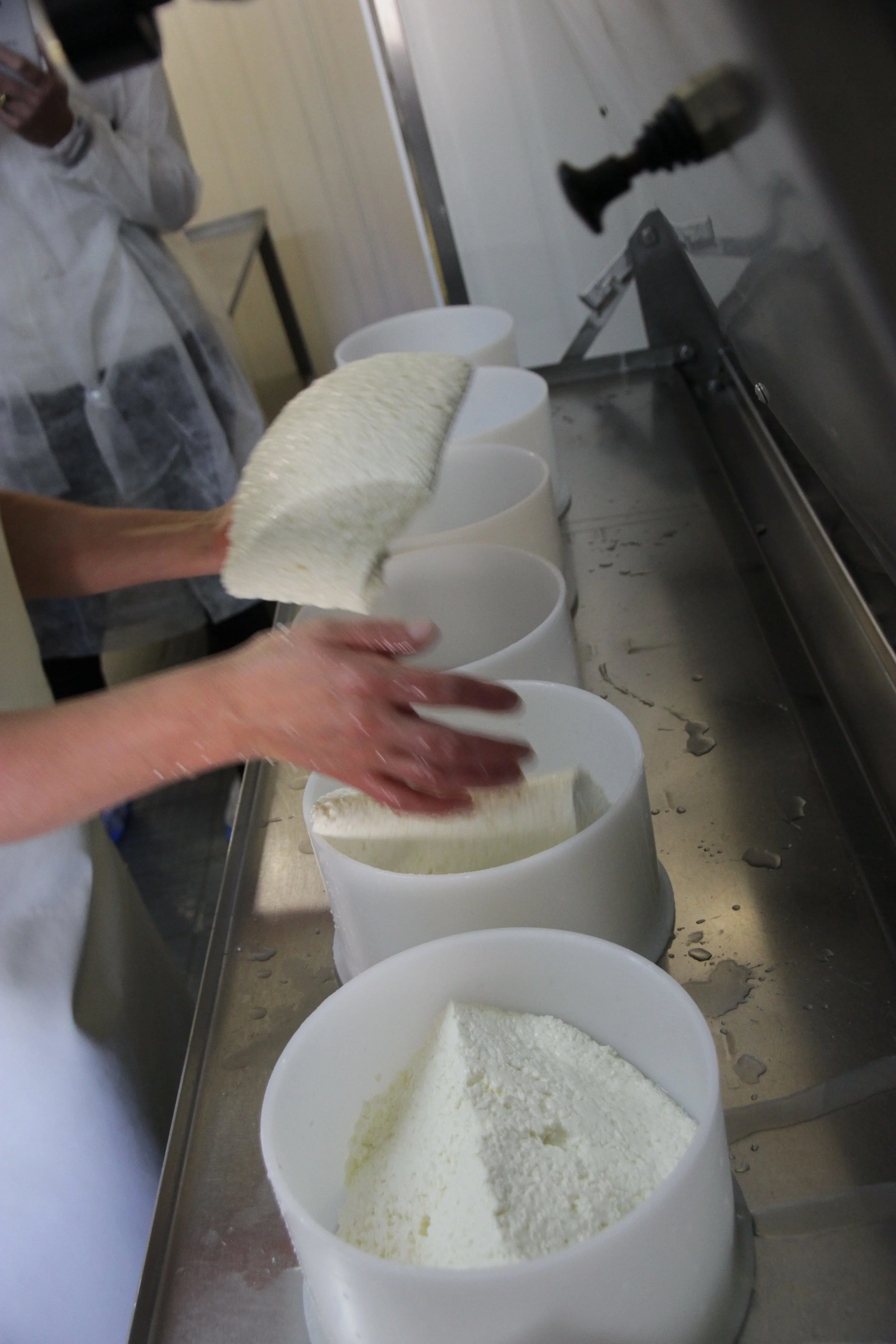 Curd is portioned. There's no scale present. After 30 years it's all done by feel. 