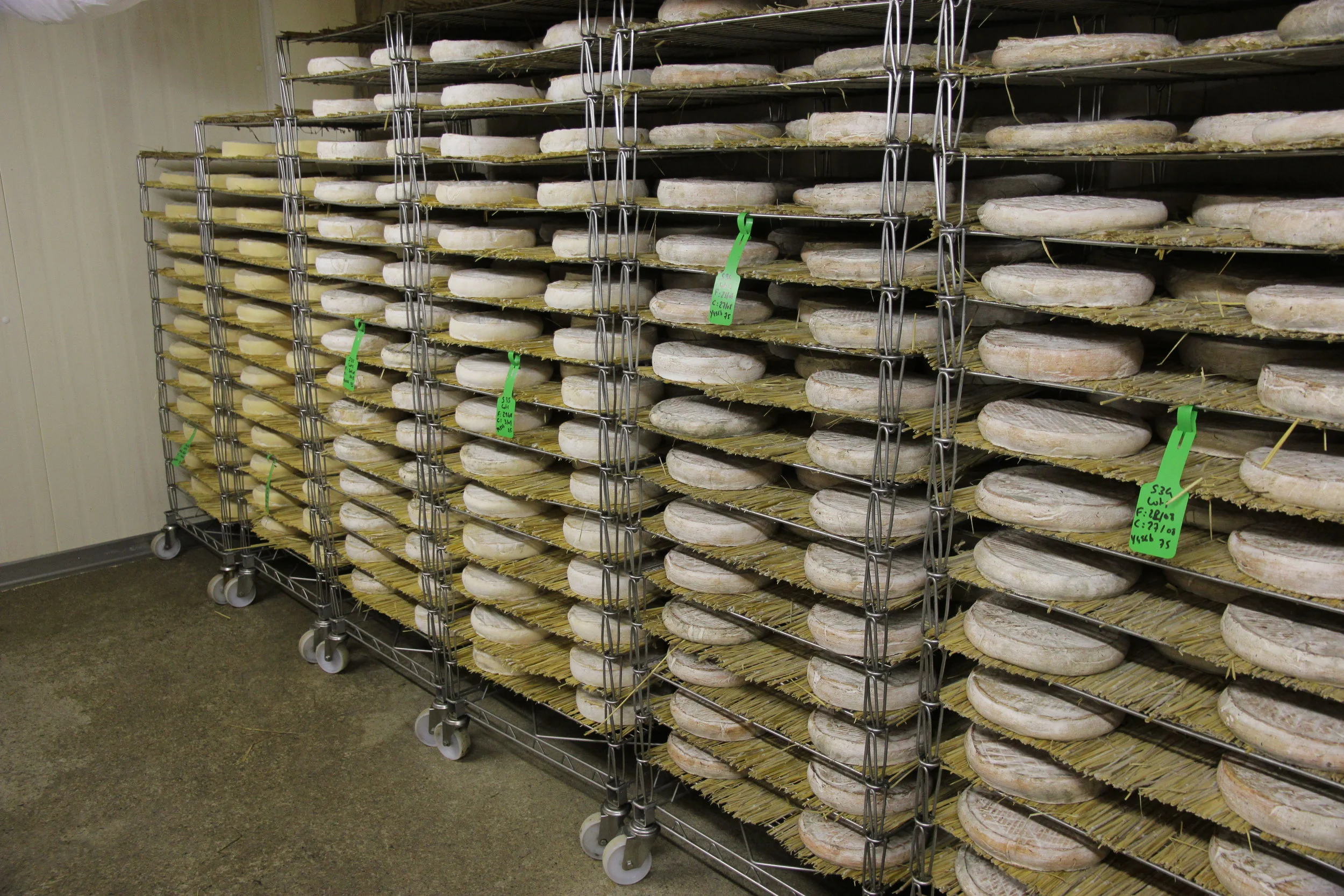 The farm's stash of St Nectaire.