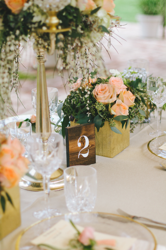 10.15.14Stylized-39.jpg