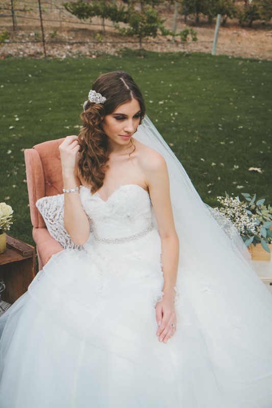 10.15.14Stylized-105.jpg