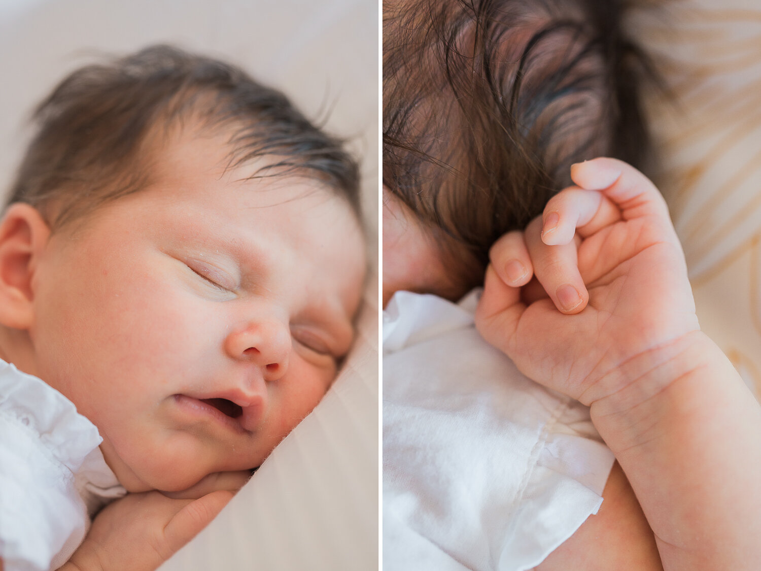 sydney-newborn-photos-3.jpg