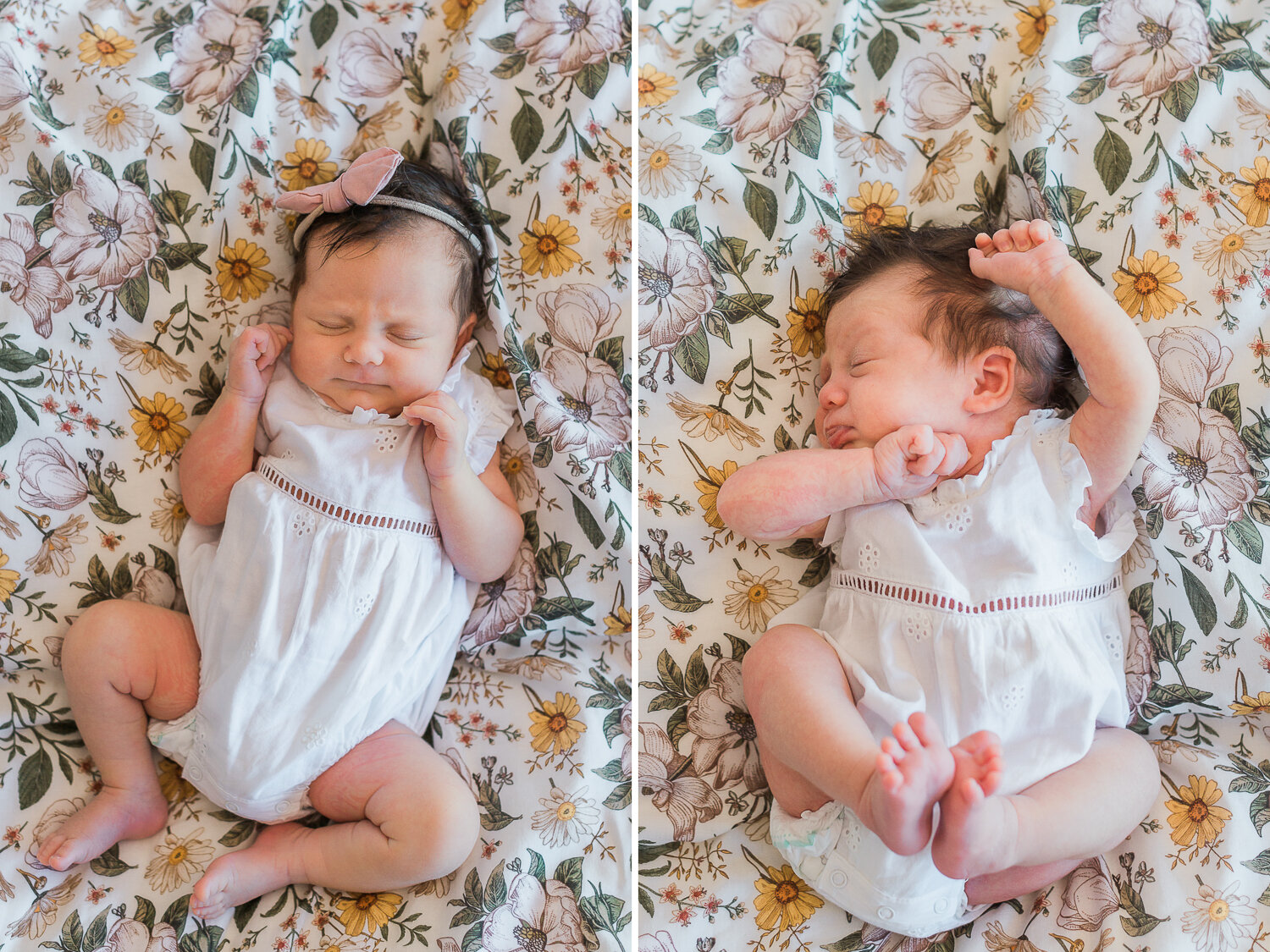 sydney-newborn-photos-8.jpg