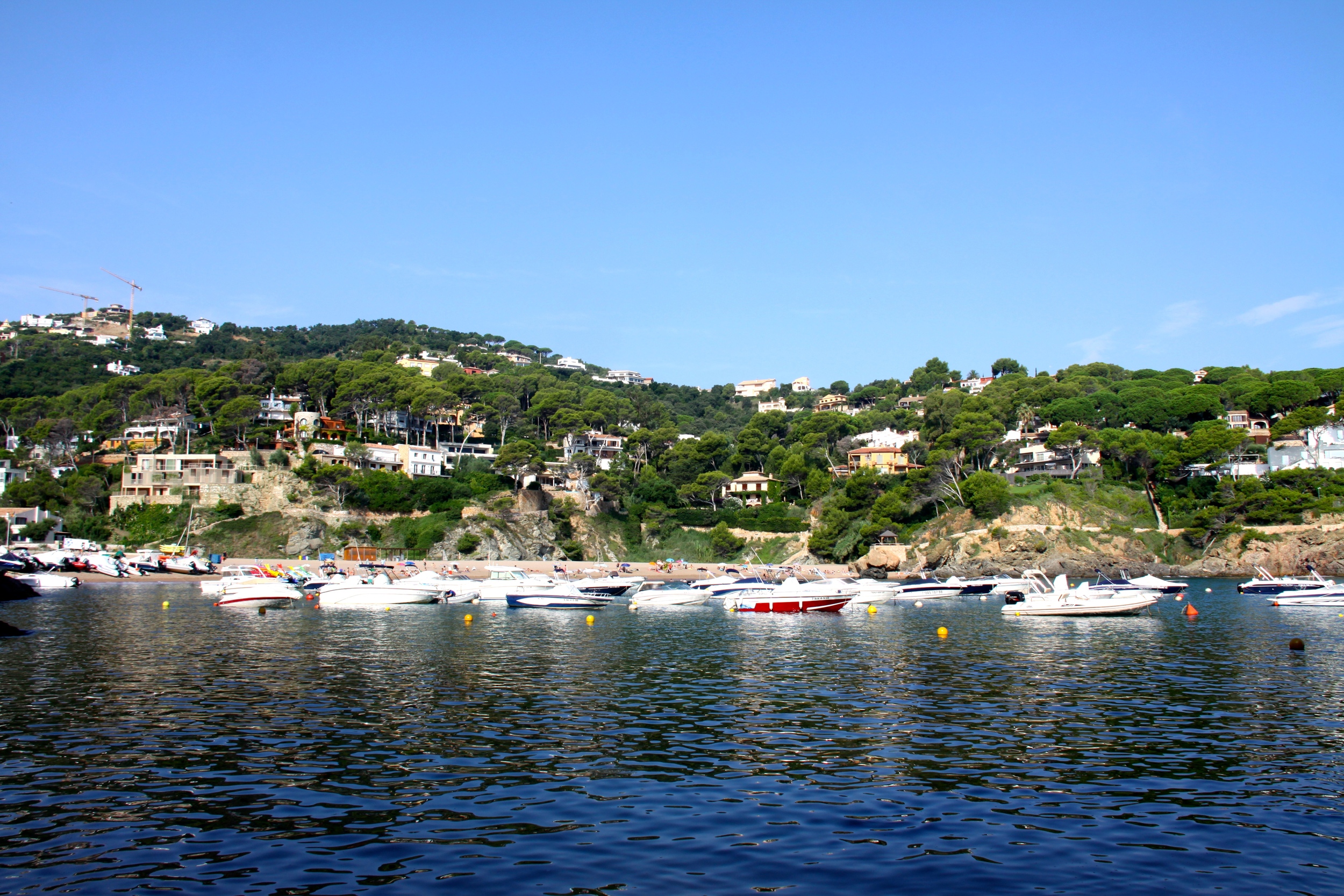 IMG_2696.JPG