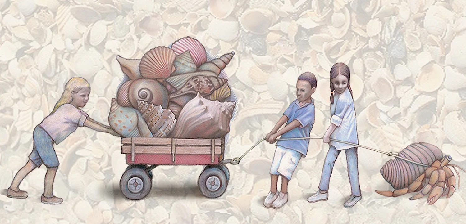 Shell Collectors (from Lessons From the Sand )