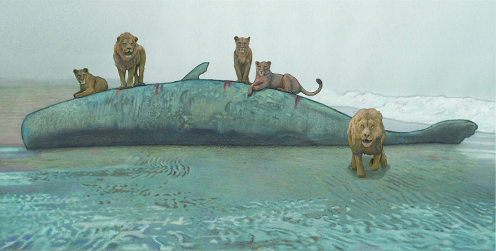 The Magic Dolphin It was a beached whale, partly buried in the sand, bloated and stinking with decay. And around its sides and on top were dark shapes moving in the mist. To my horror the shapes resolved themselves into lions. Lions feeding on