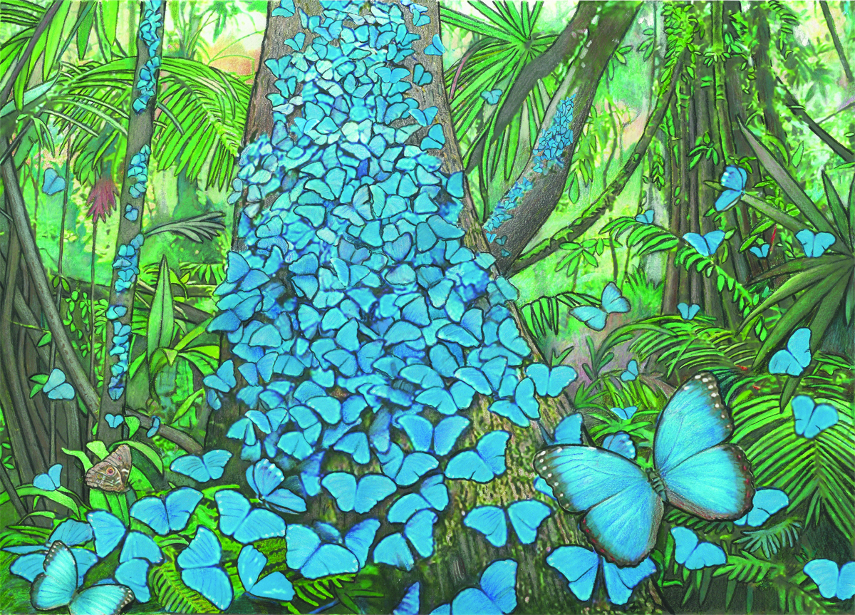 The Magic Dolphin There must have been hundreds of giant blue butterflies gathered on that tree. Hundreds more, perhaps thousands, fluttered around the clearing like winged sapphires.
