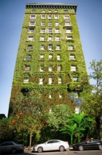 Green Building.jpg