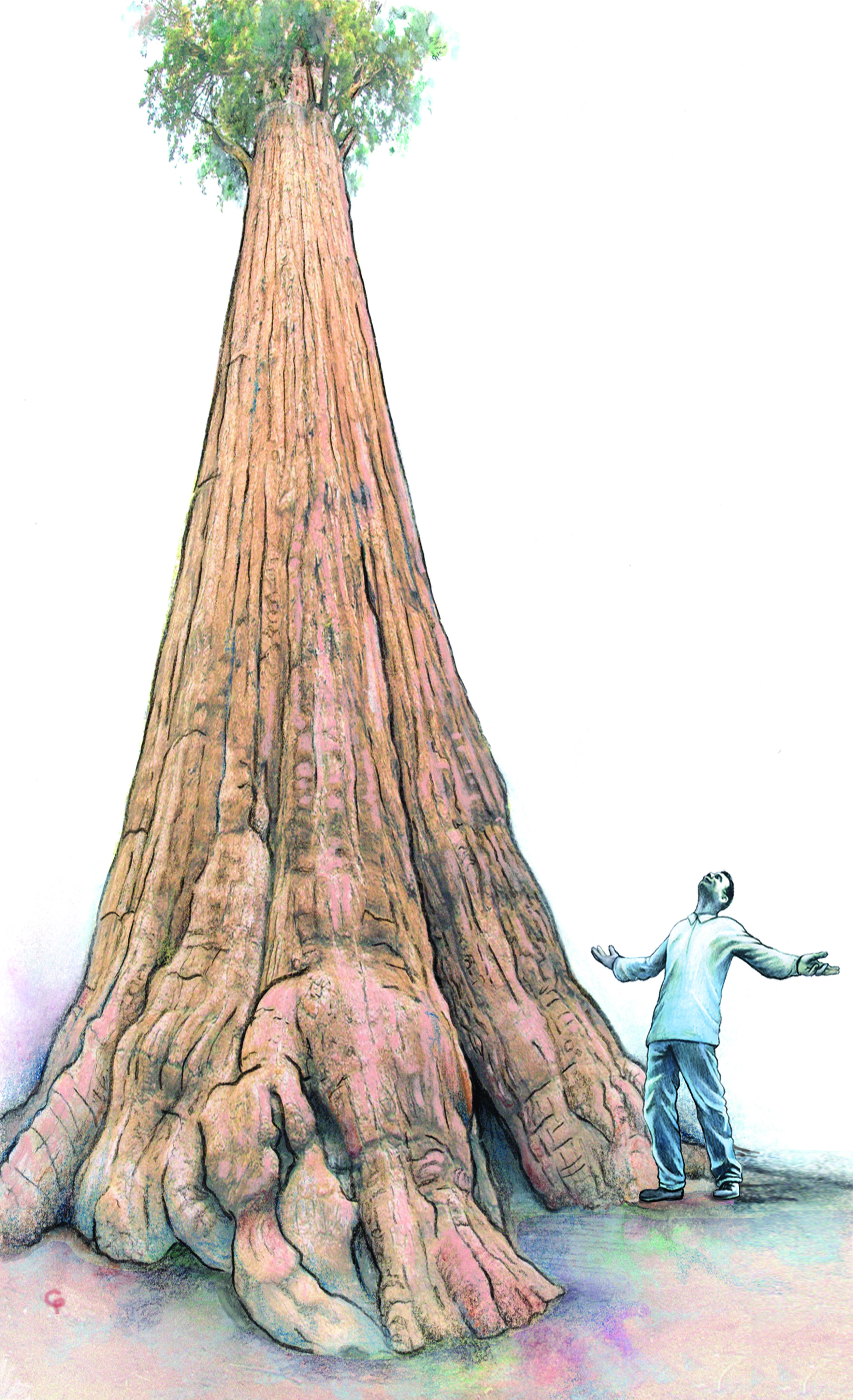 Man and Tree2.jpg