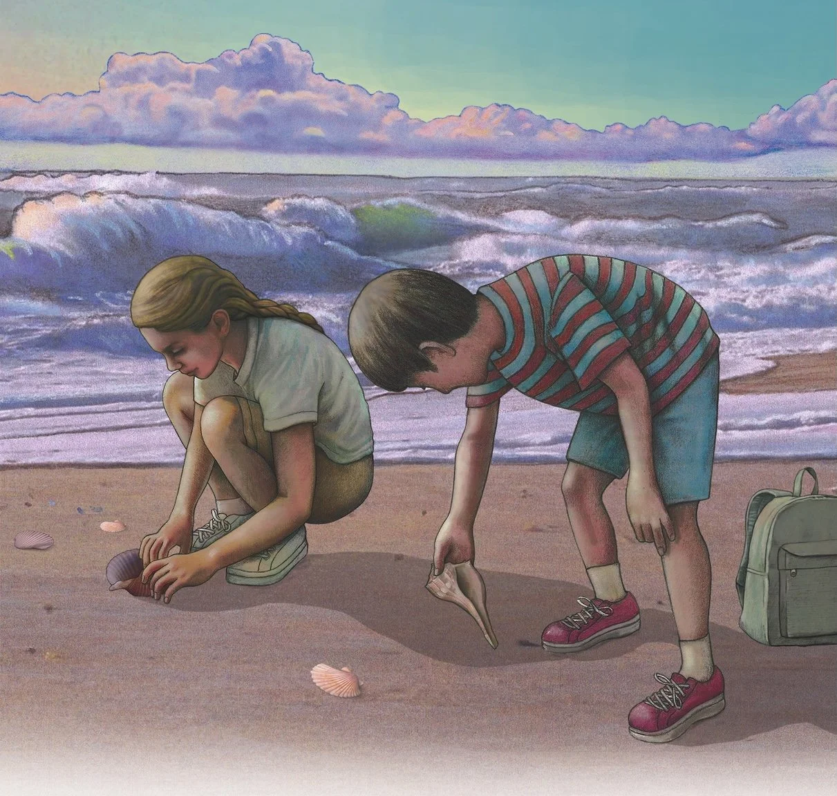   The Magic Dolphin S hell Collectors     