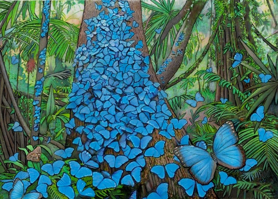   The Magic Dolphin: The Island of the Blue Butterflies  