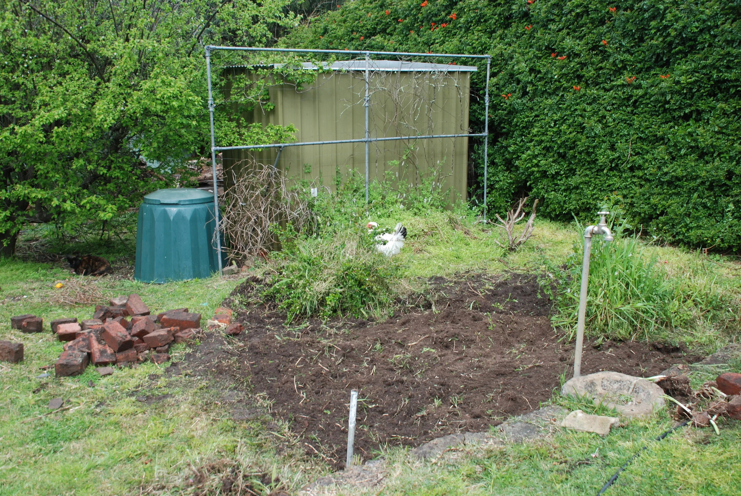 Preparing for Planting.jpg