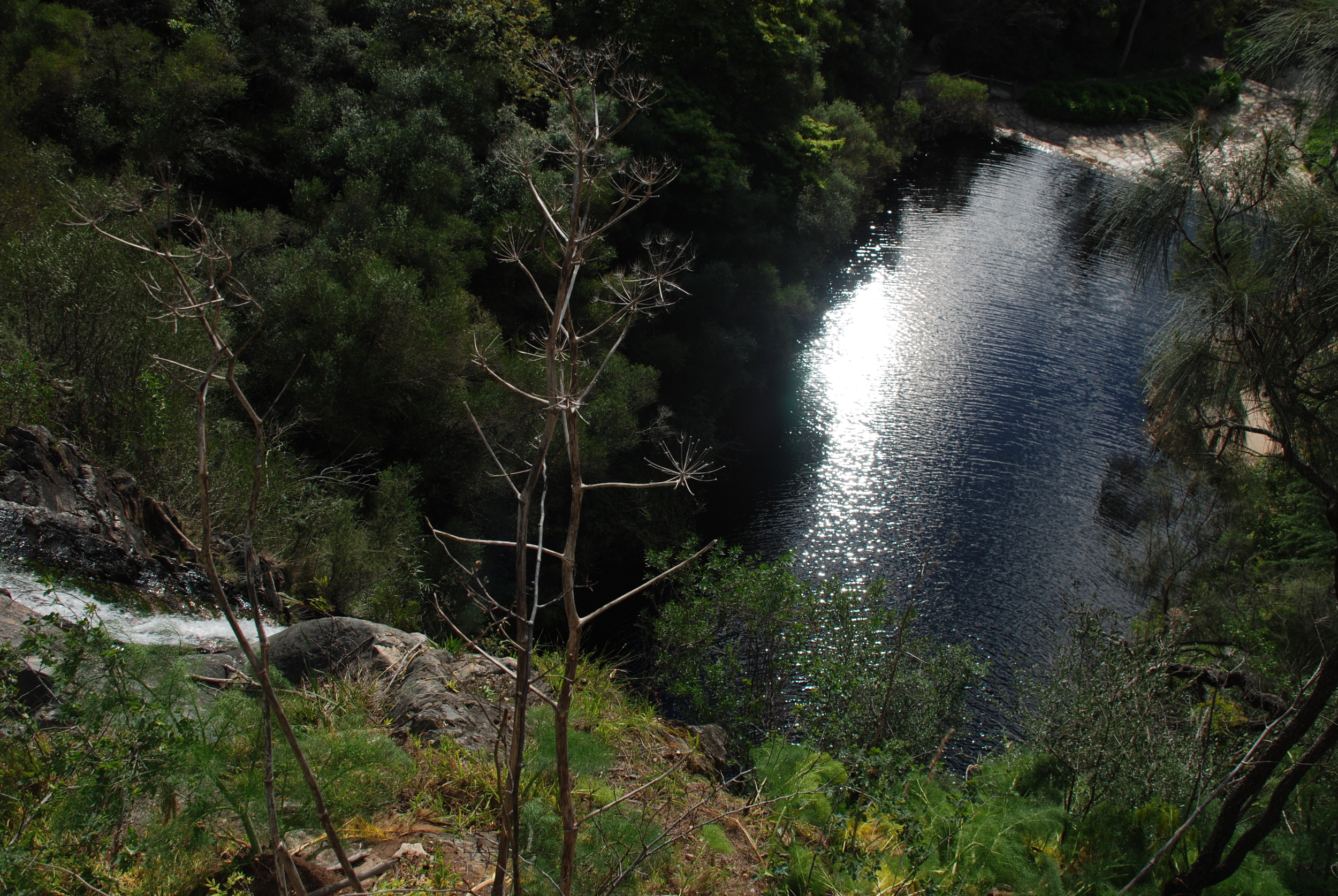 Waterfall Gully Waters.jpg