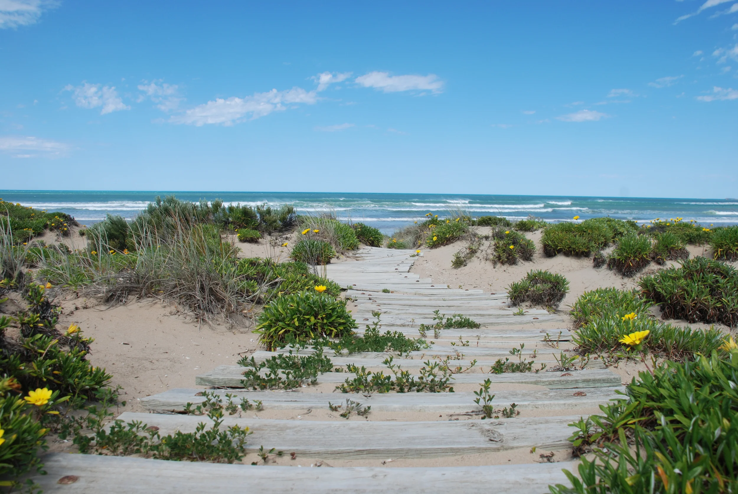Middleton Beach Path.jpg