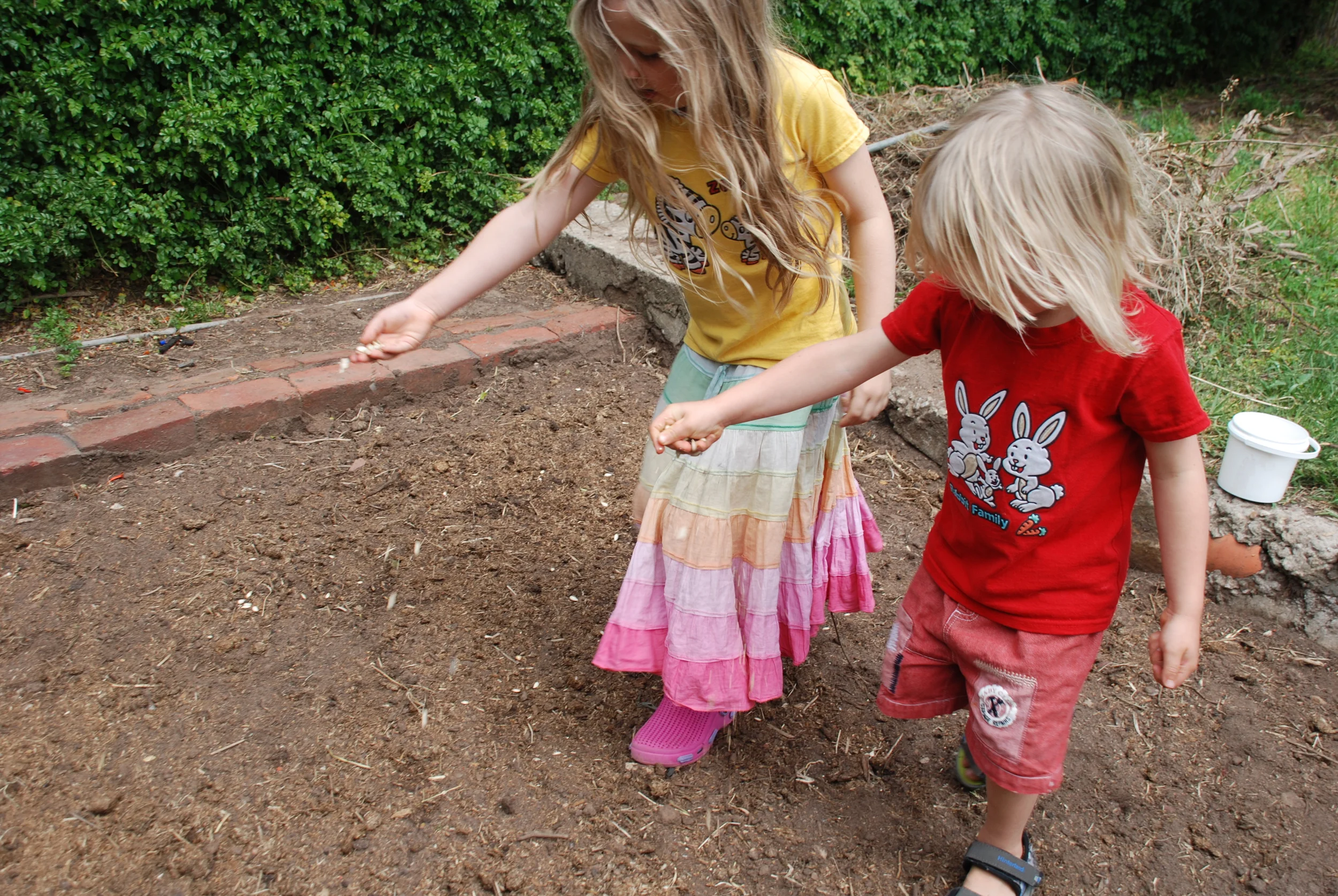 Sowing Clucker Tucker Seeds.jpg