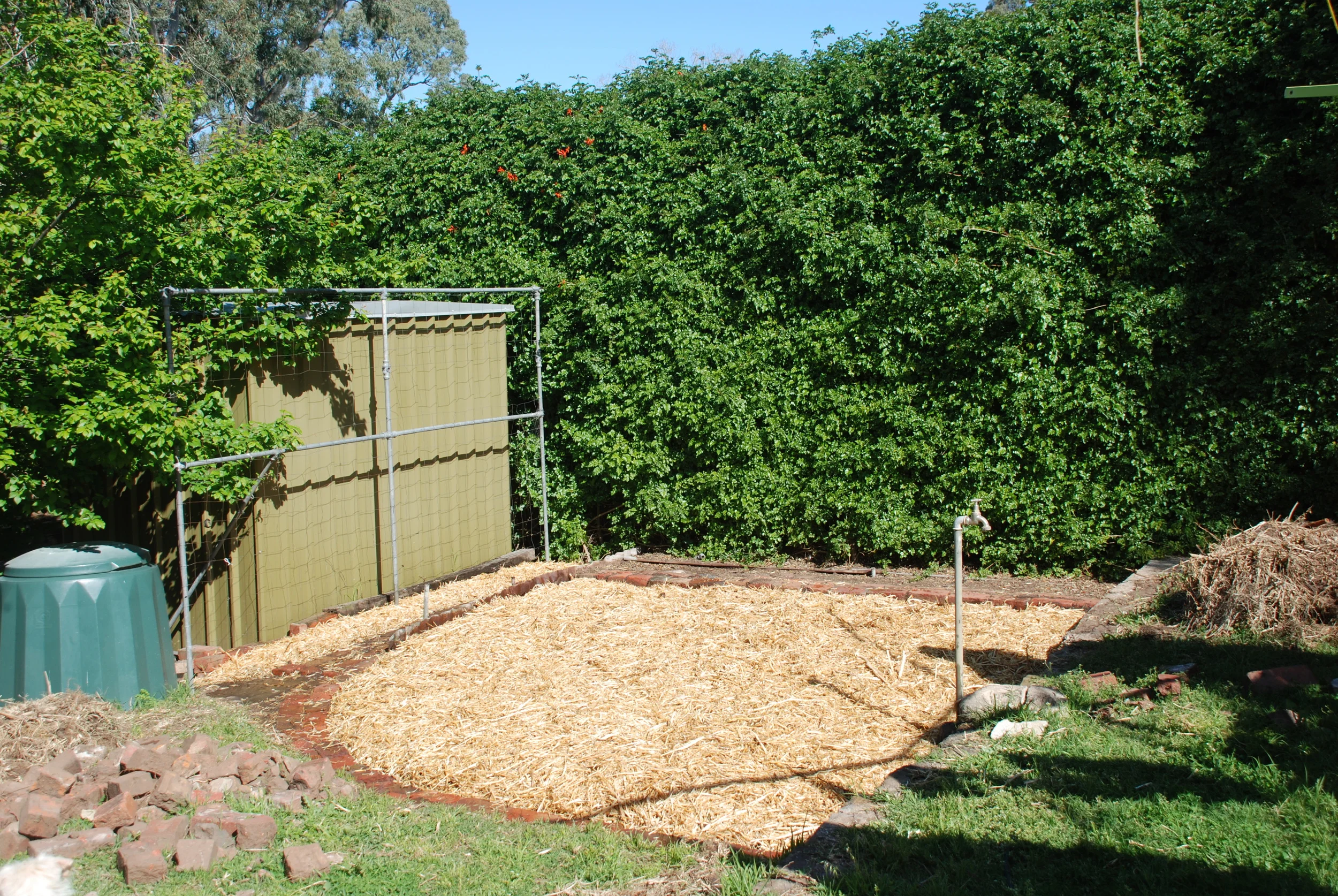 Back Yard Stage 2.jpg