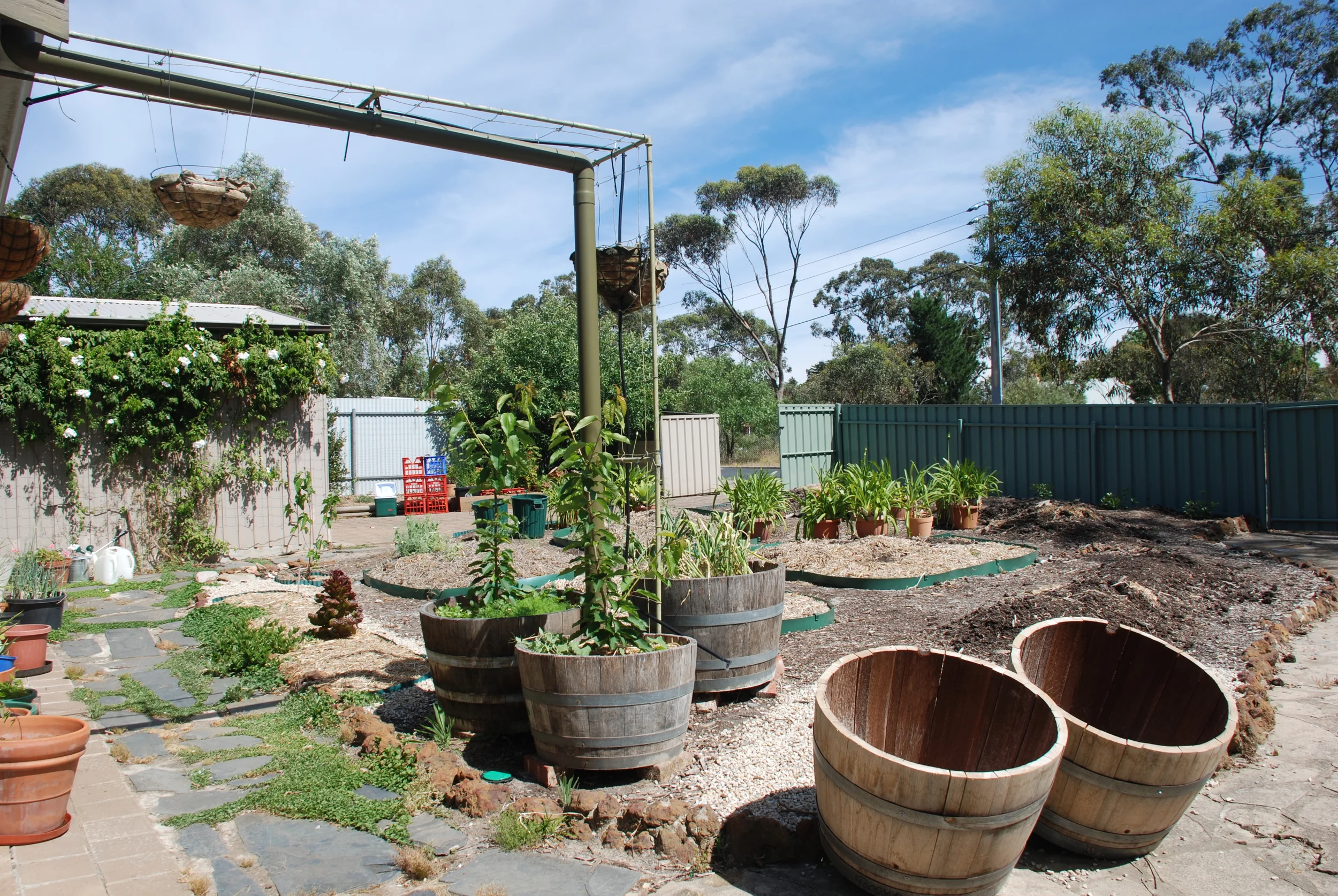 Front Garden Spring 2014.jpg