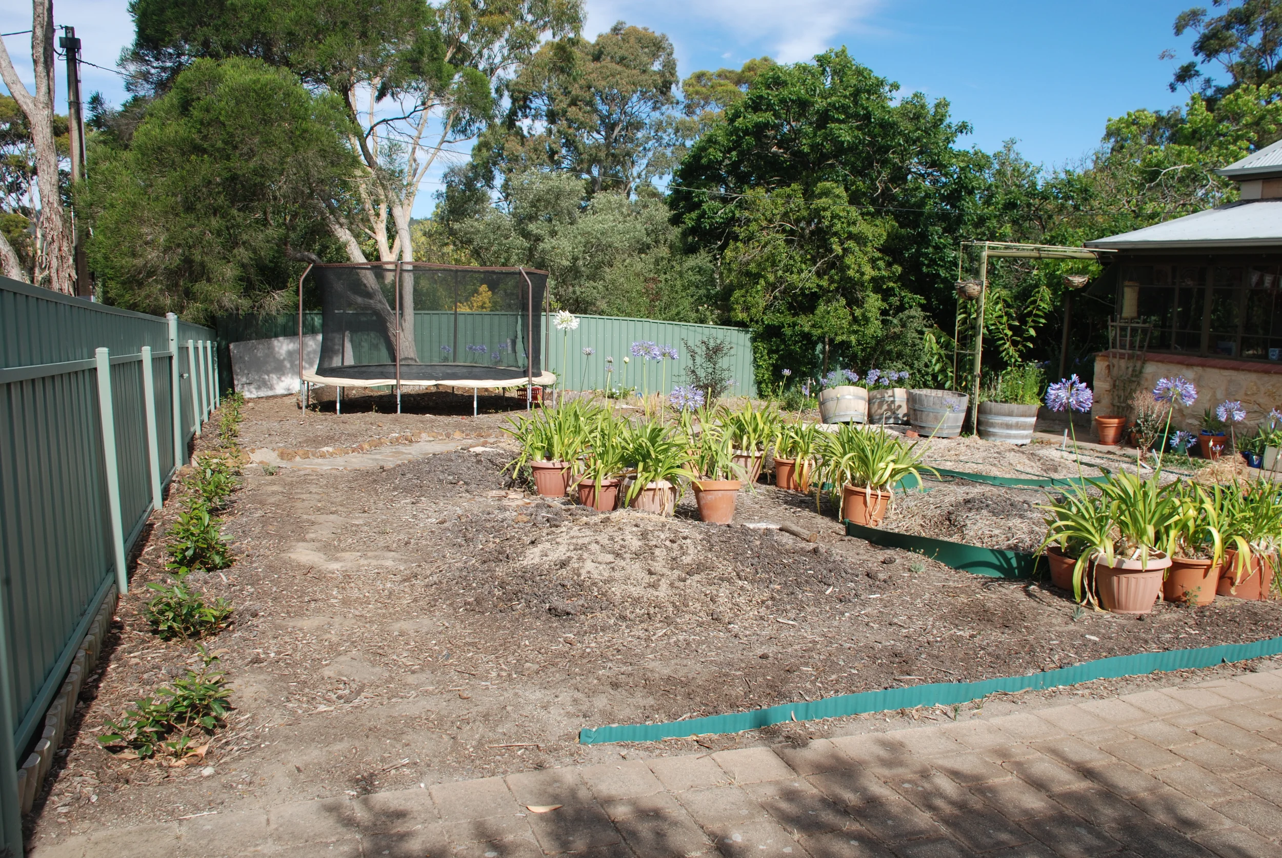 Front Garden Summer 2014.jpg