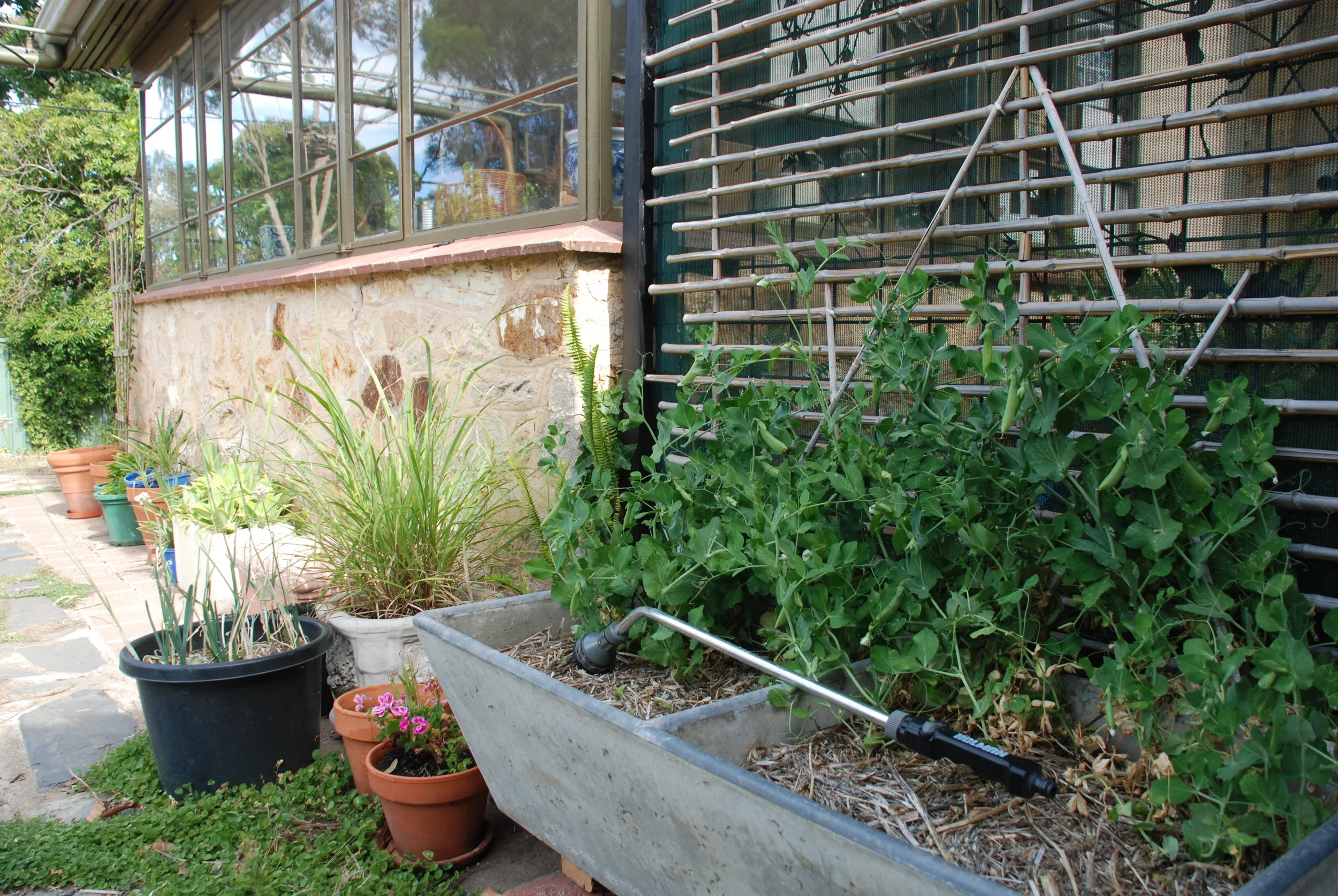 Concrete Trough.jpg