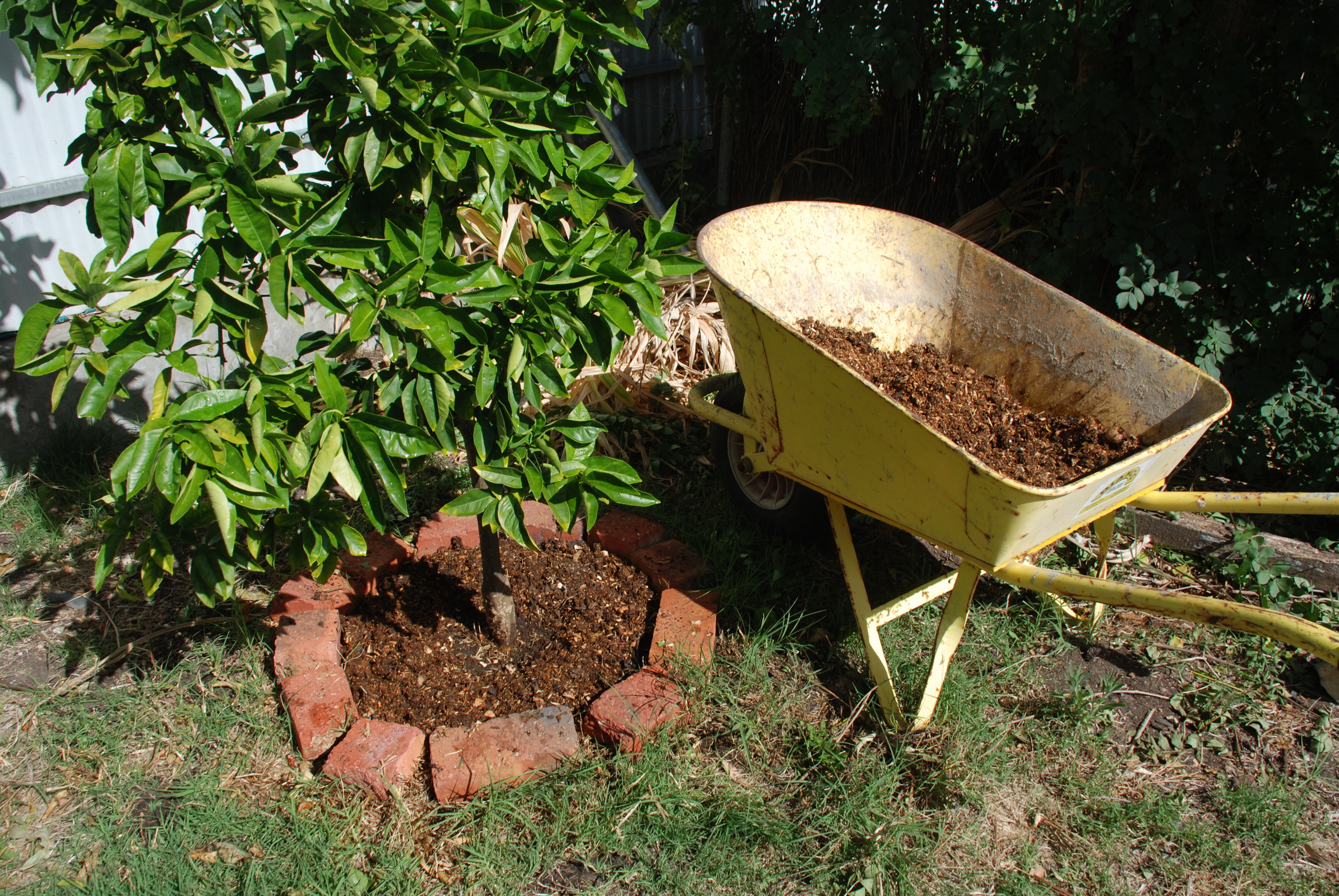 Spreading Compost.jpg