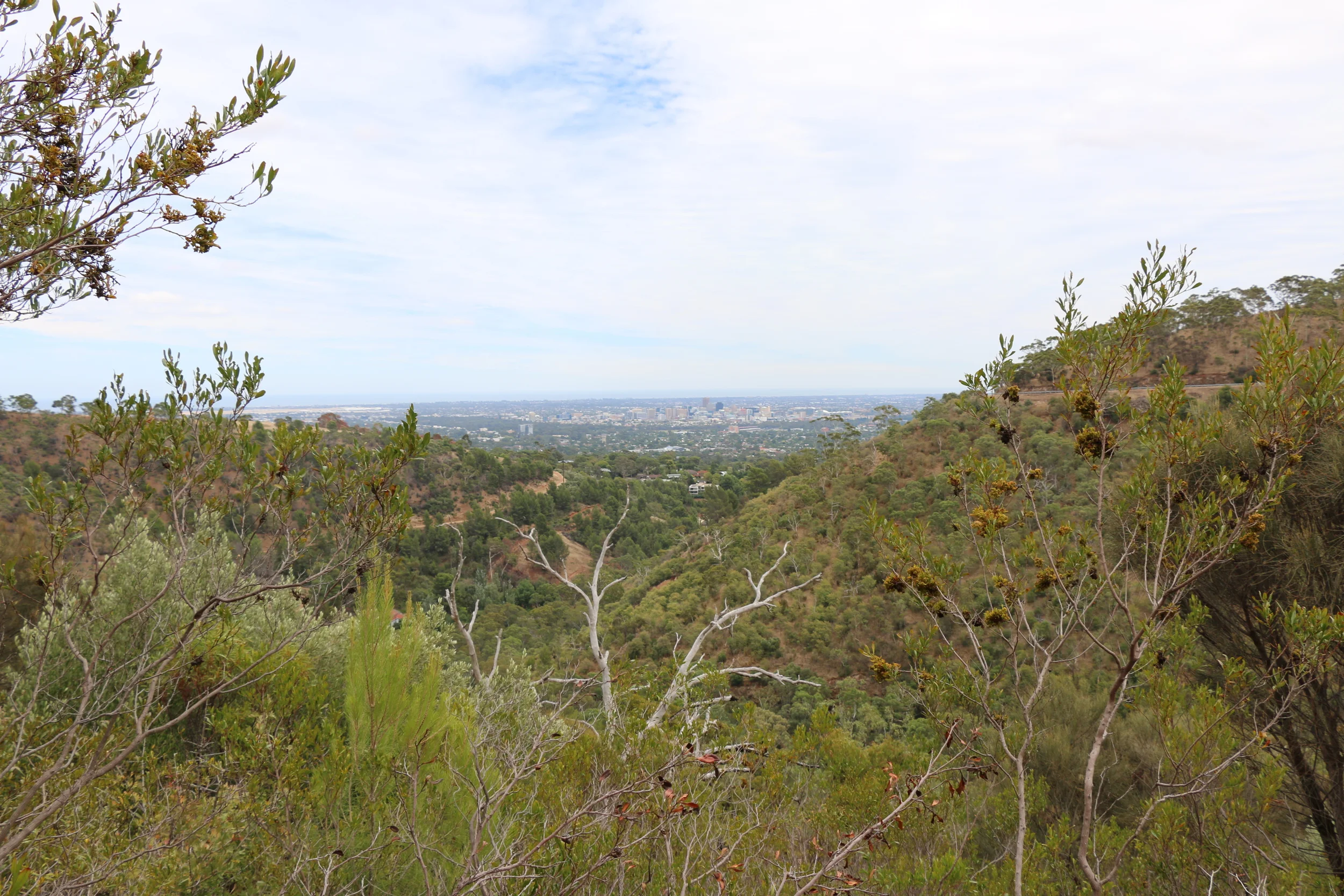 View Of The City.jpg