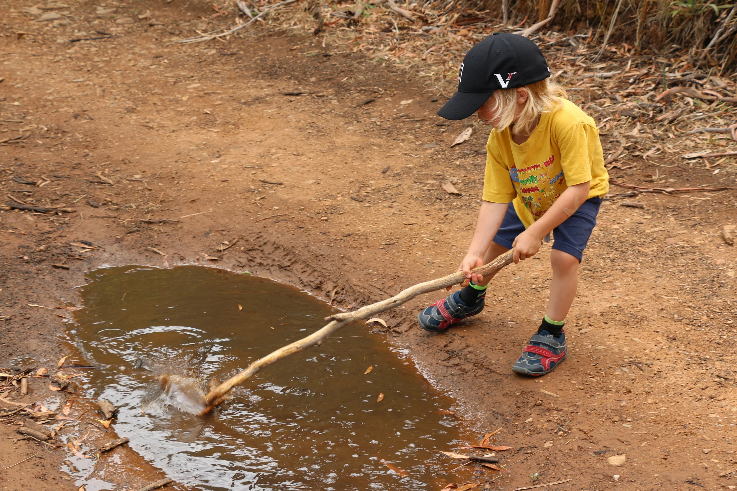 Puddles.jpg