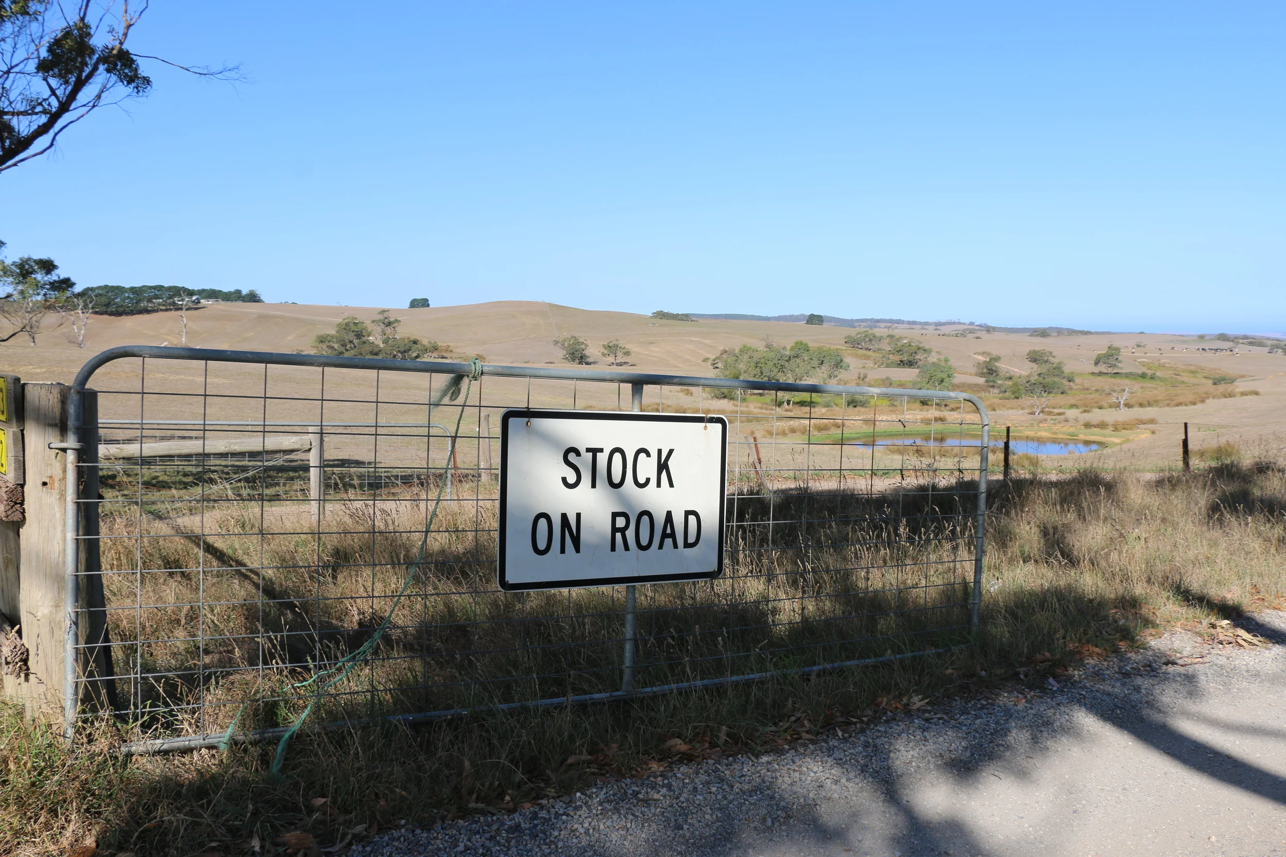 Stock Sign.jpg