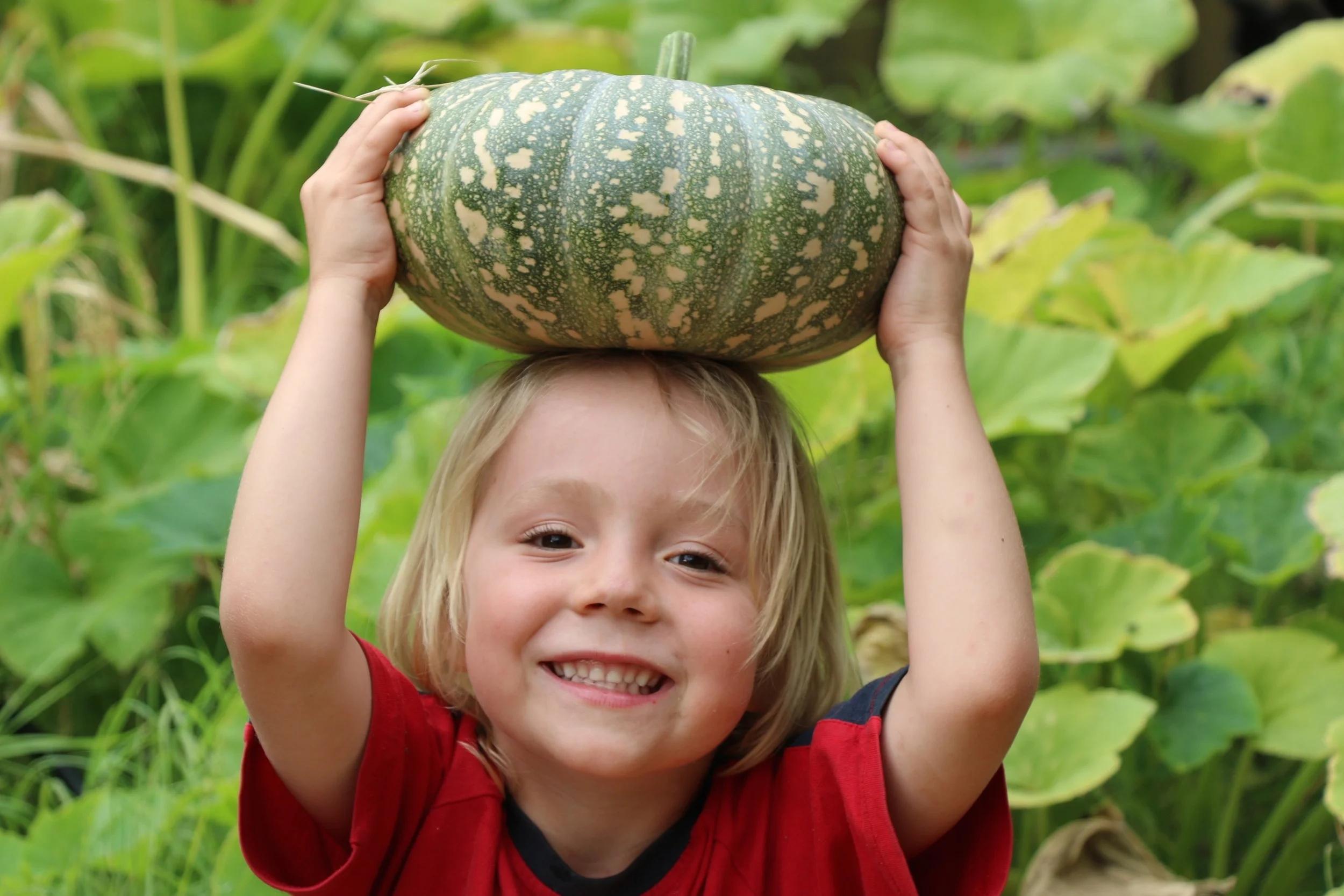 Noah With Pumpkin.jpg