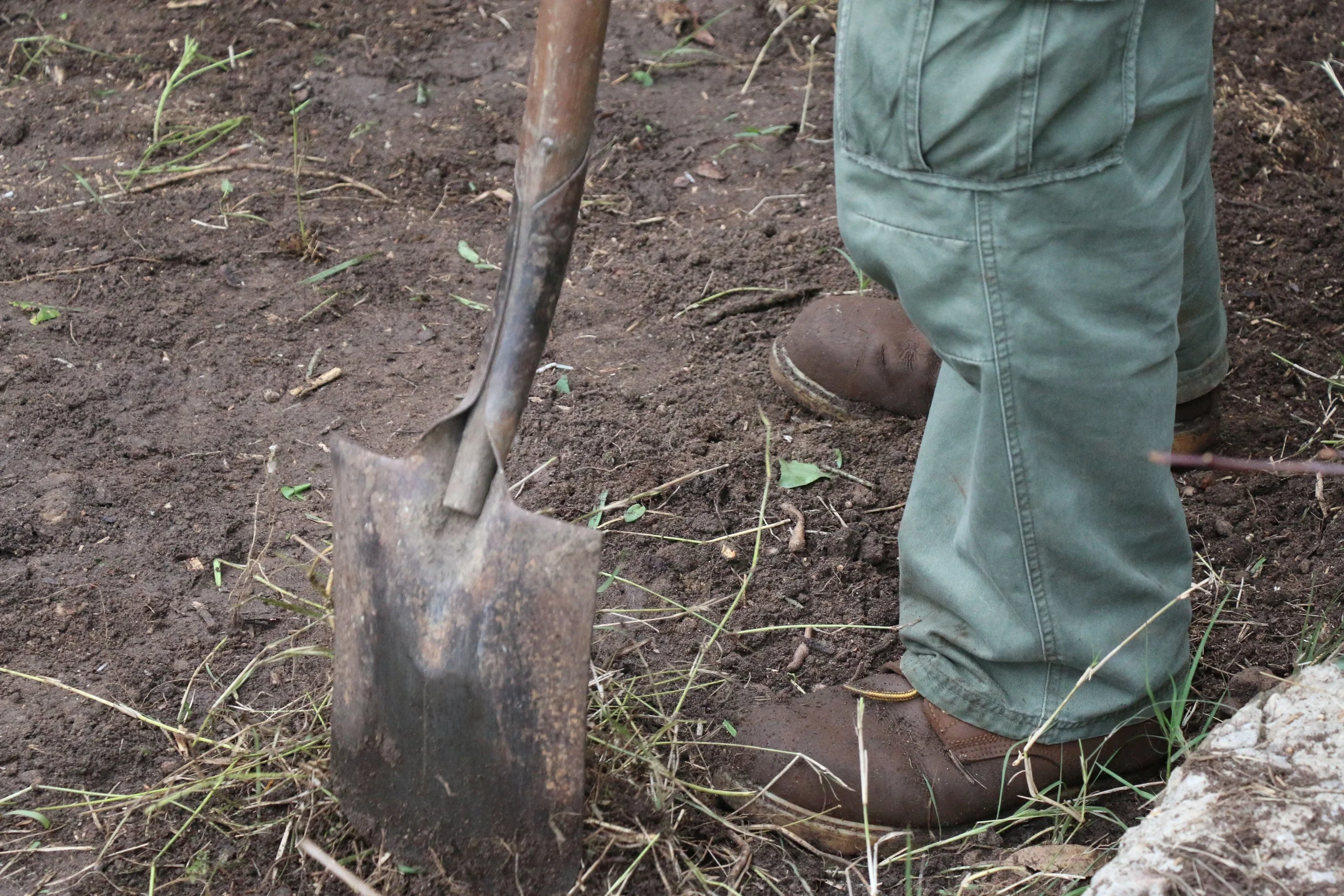 Digging.jpg