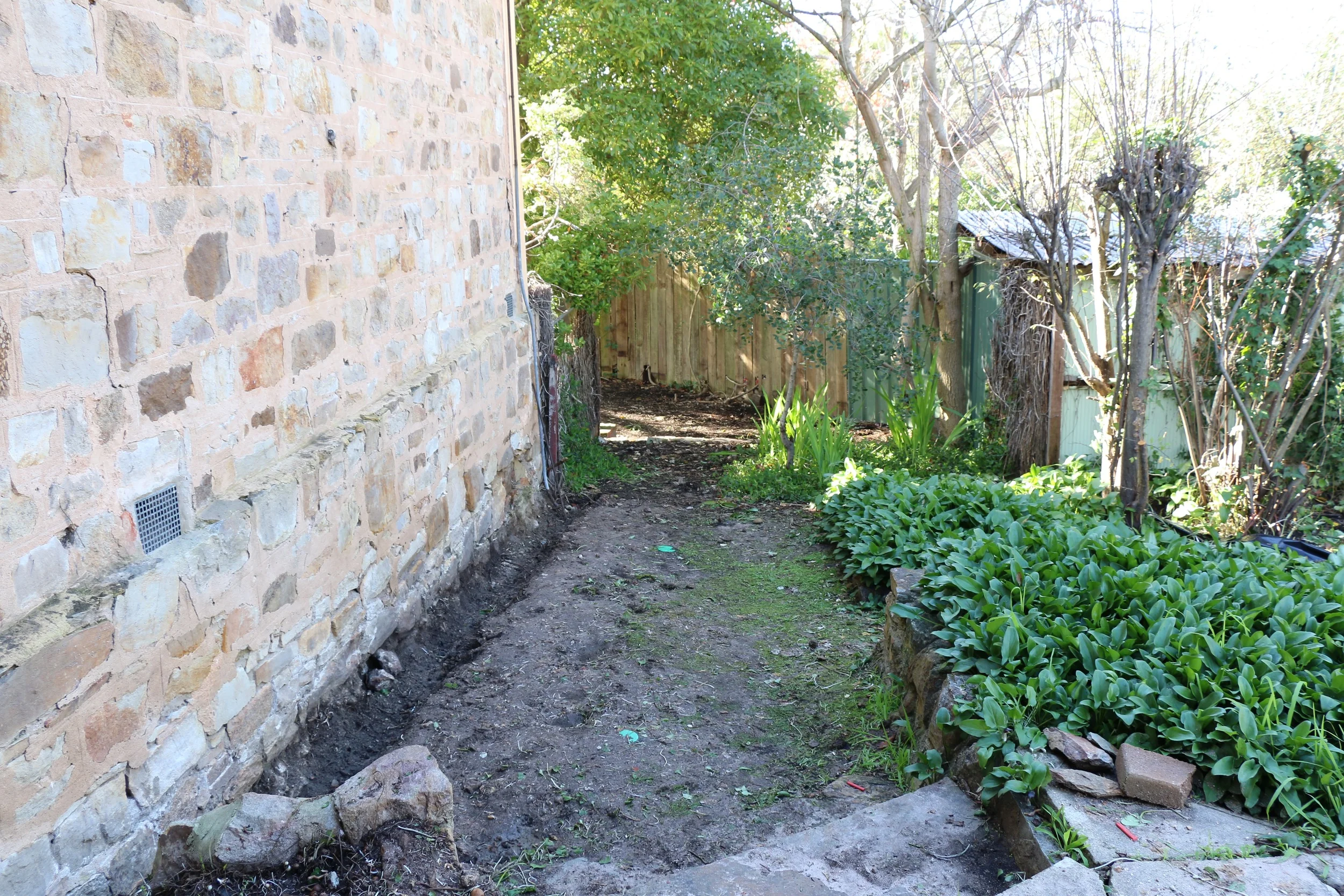 Back Wall.jpg
