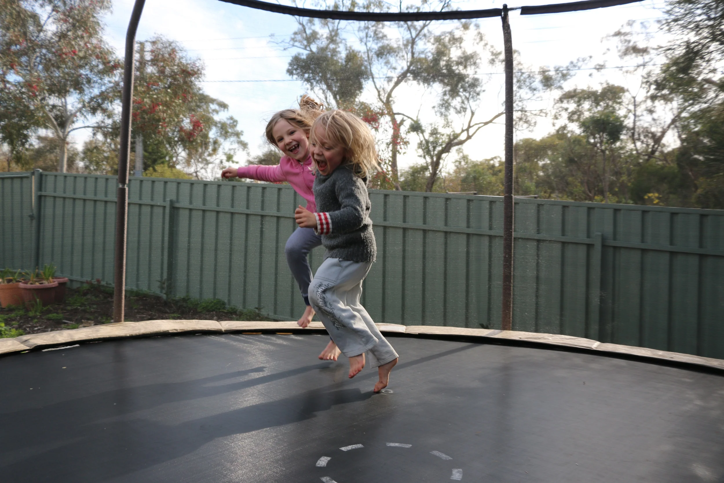 Trampoline Fun.jpg