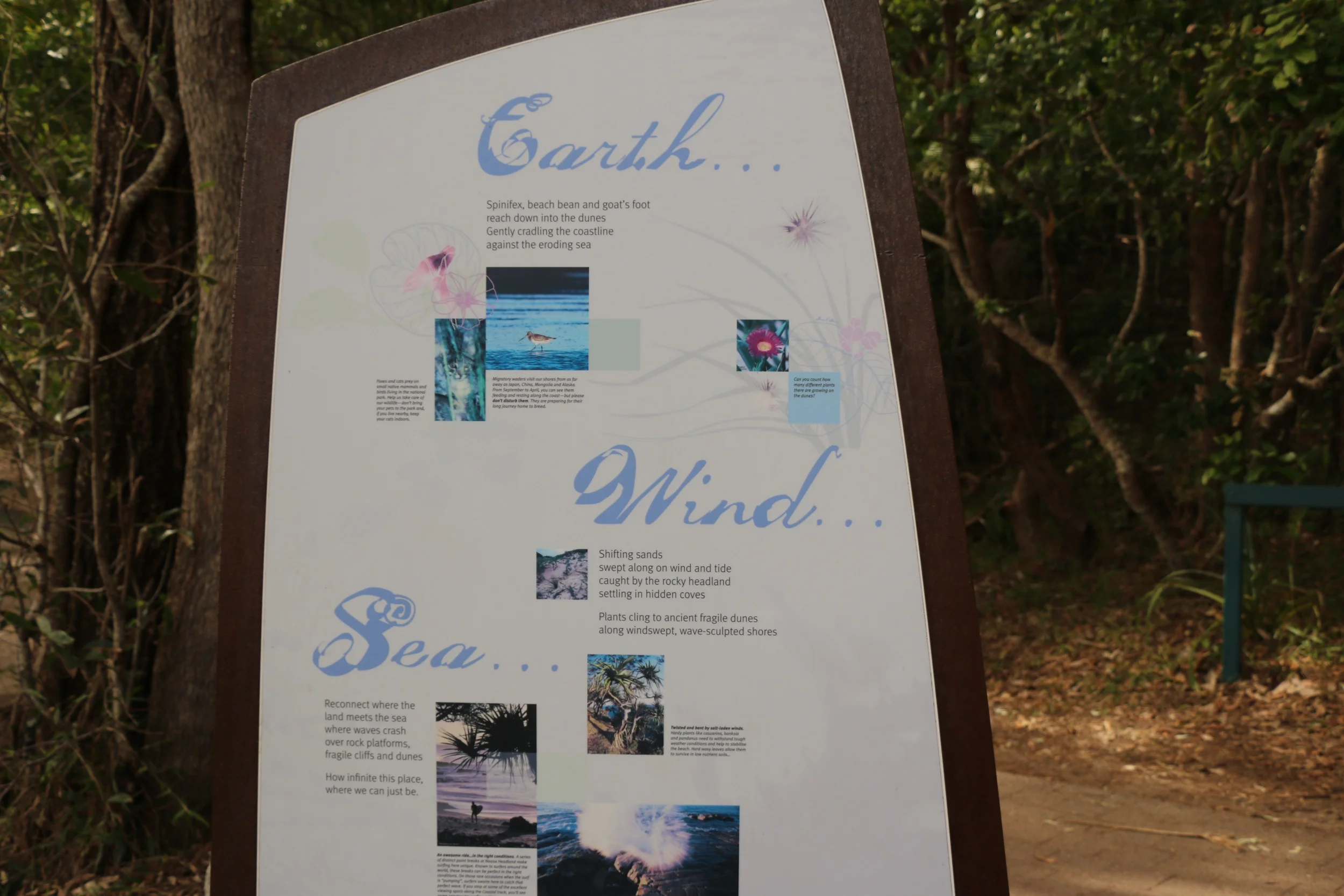 Park Sign.jpg