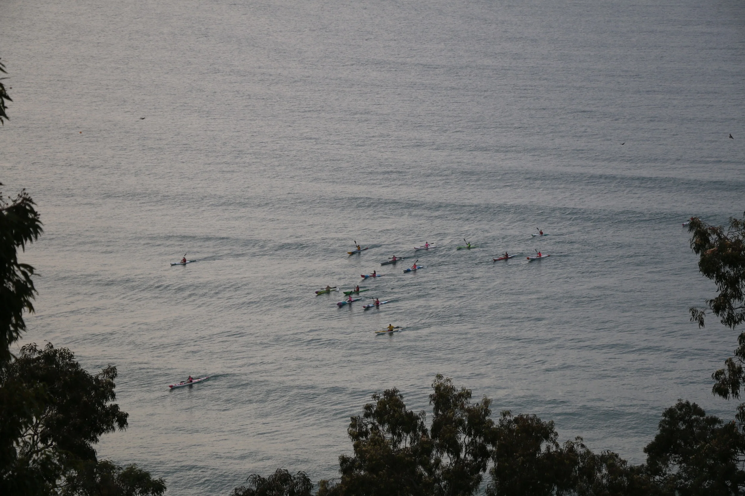 Kayaks.jpg