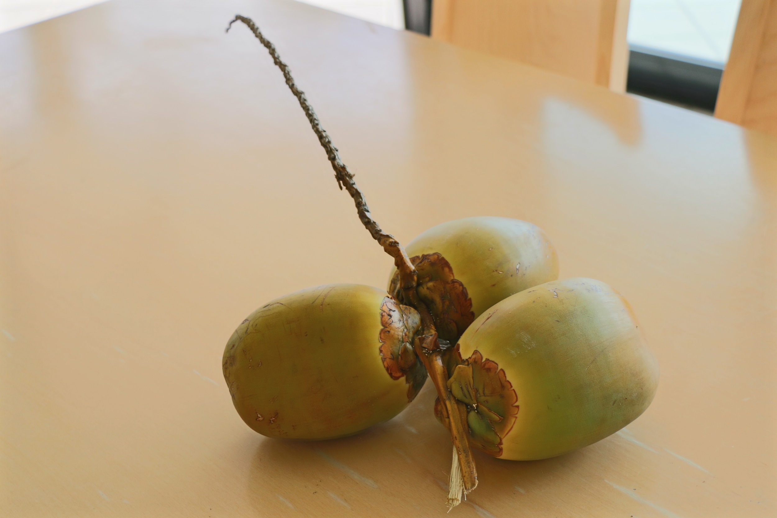 Young Coconuts.jpg